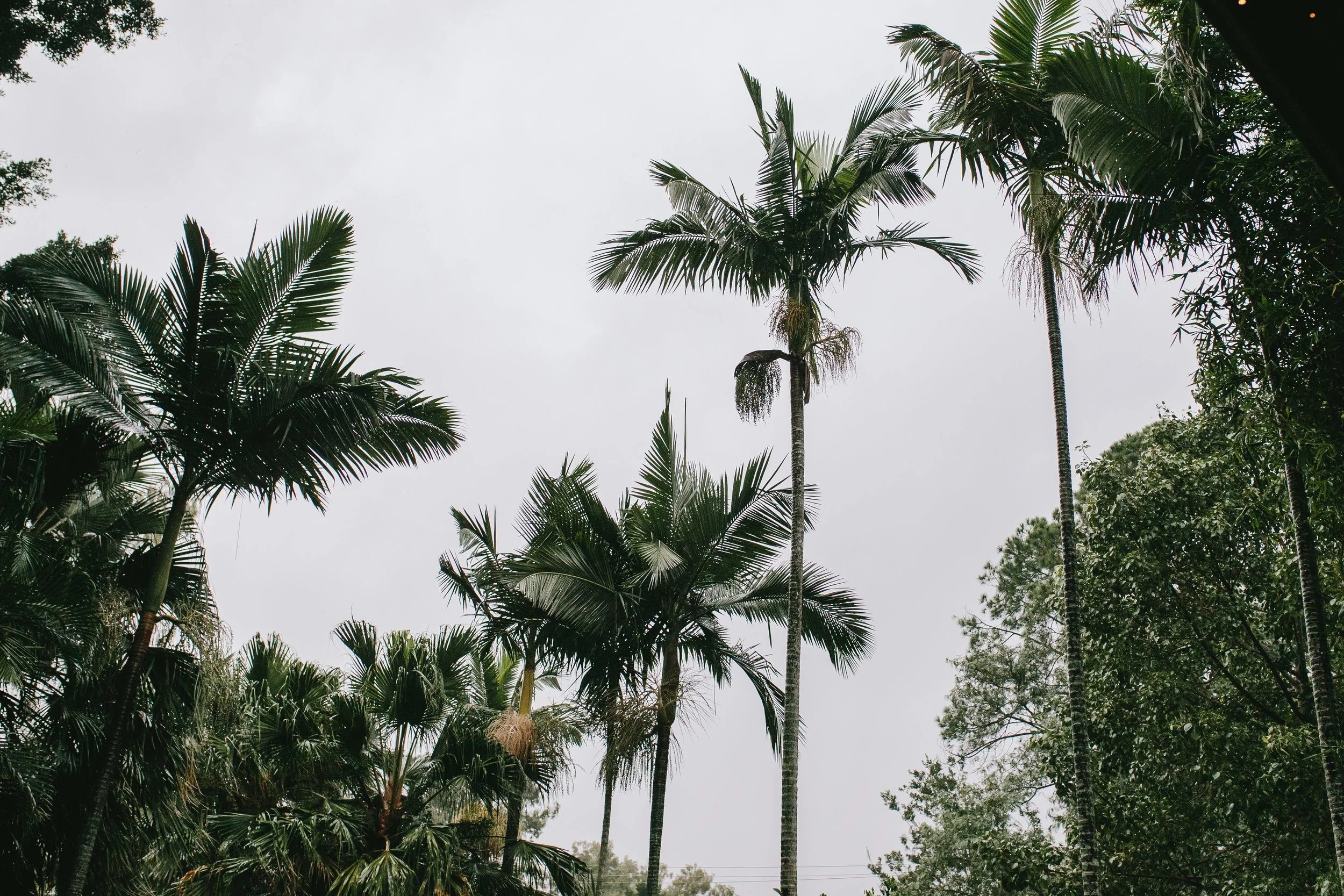 TONE & AIMEE-9223-2.JPG