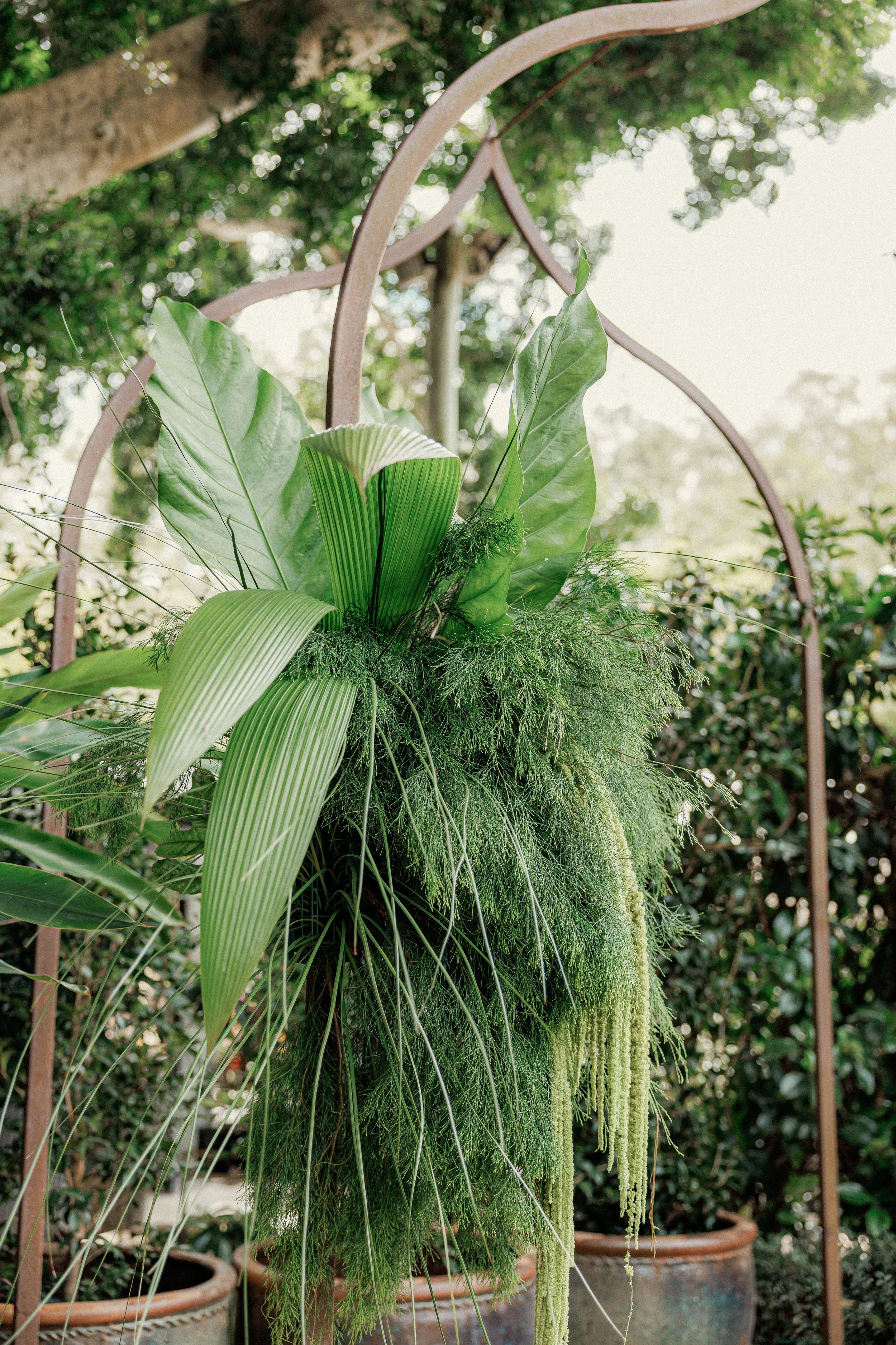 Ben & Jemma Final Gallery (256).jpg