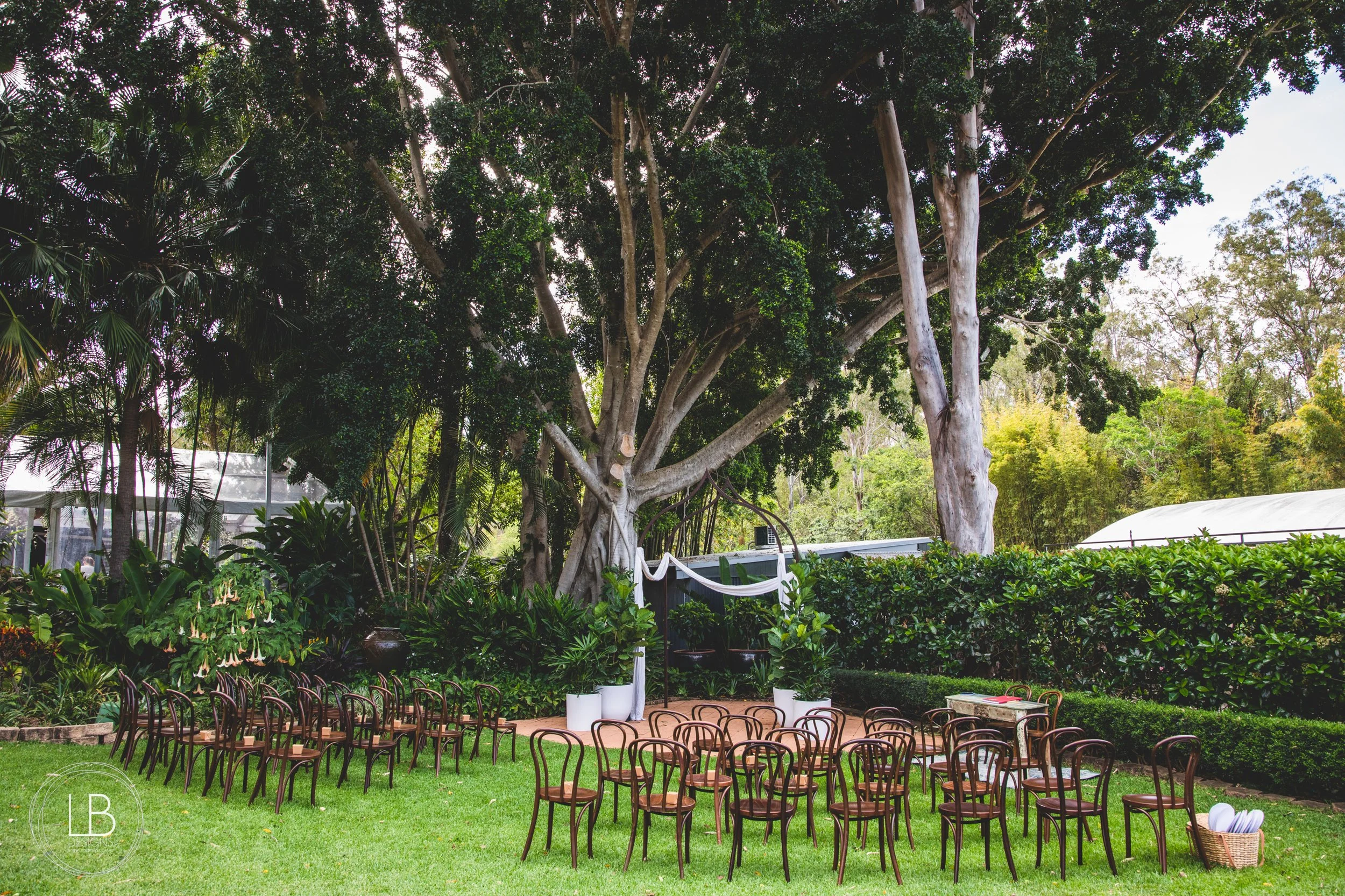 Amy and Carl_Wild Canary IMG_007.JPG