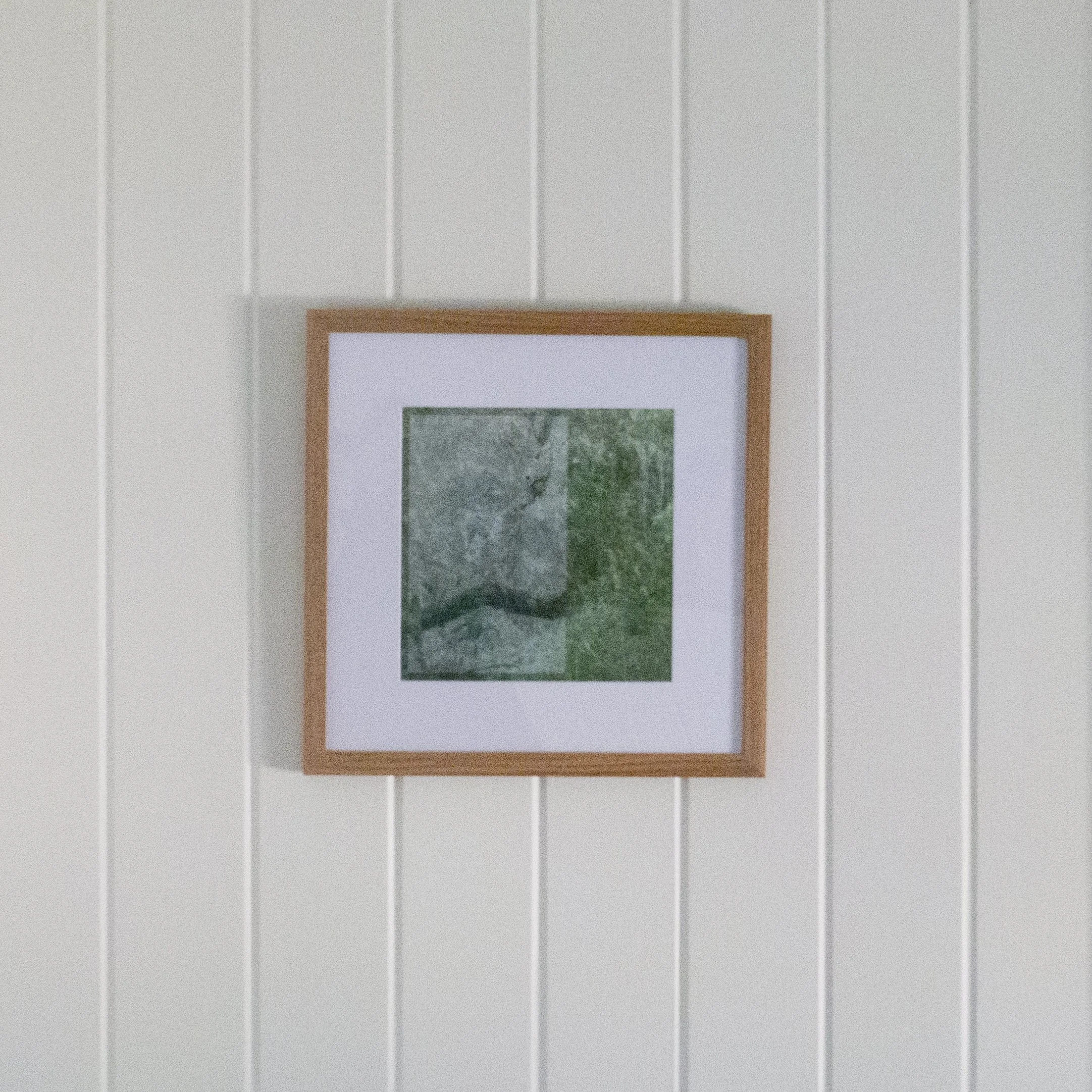 03_framed (in situ)_cockatoo.jpg