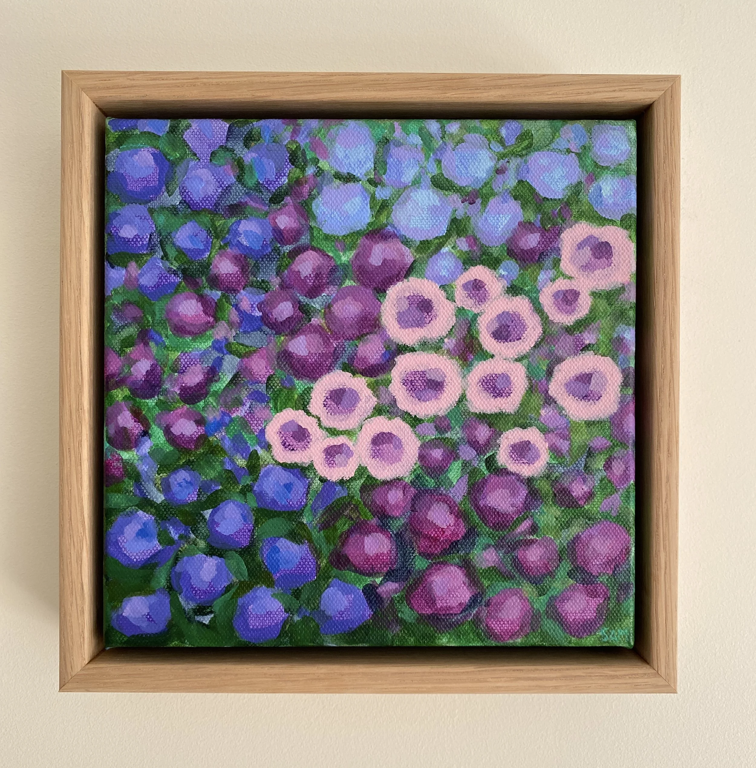 MINI Blue-Violet - Sam Matthews