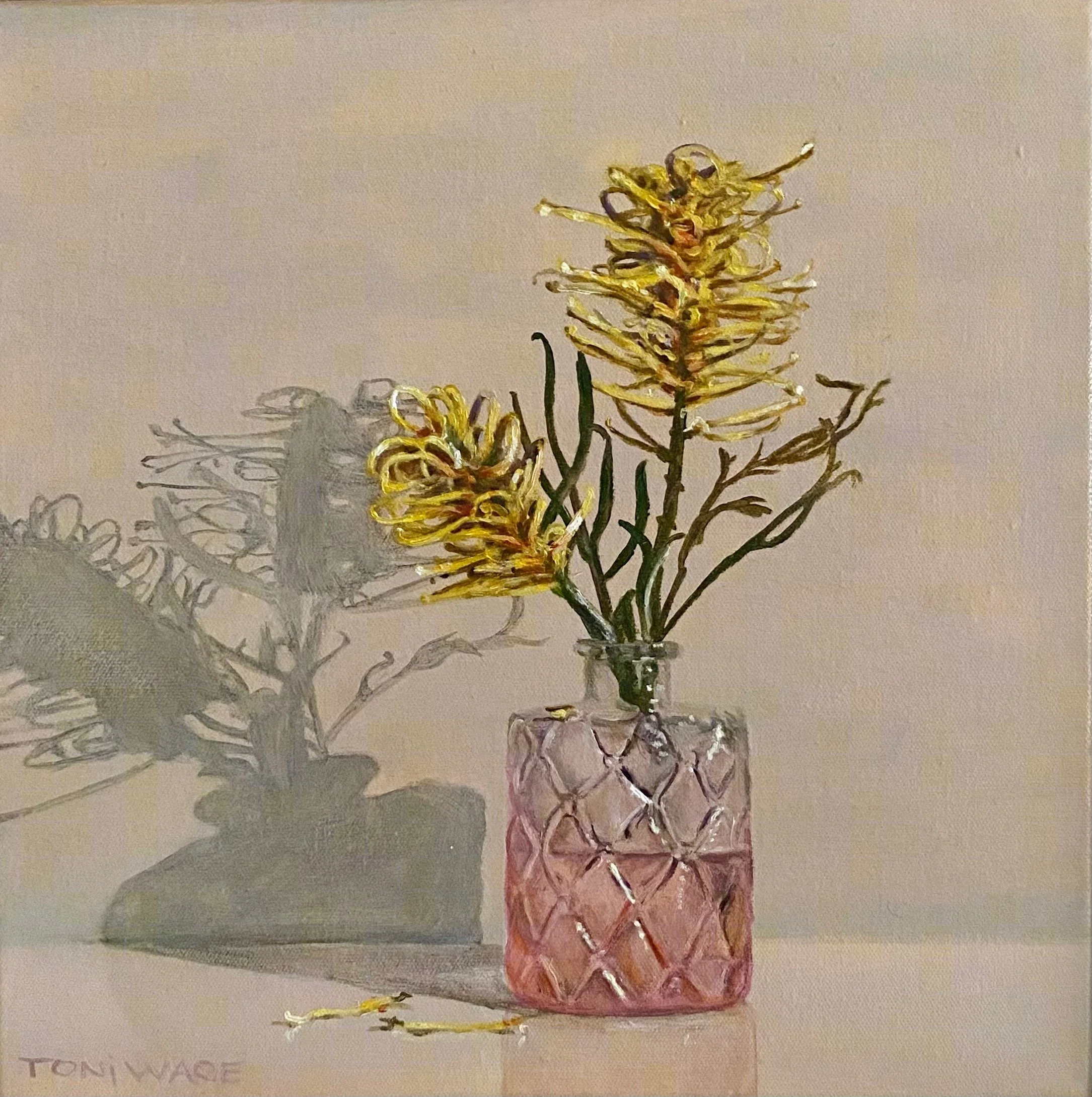 Bush Lemon Grevillea - Toni Ware
