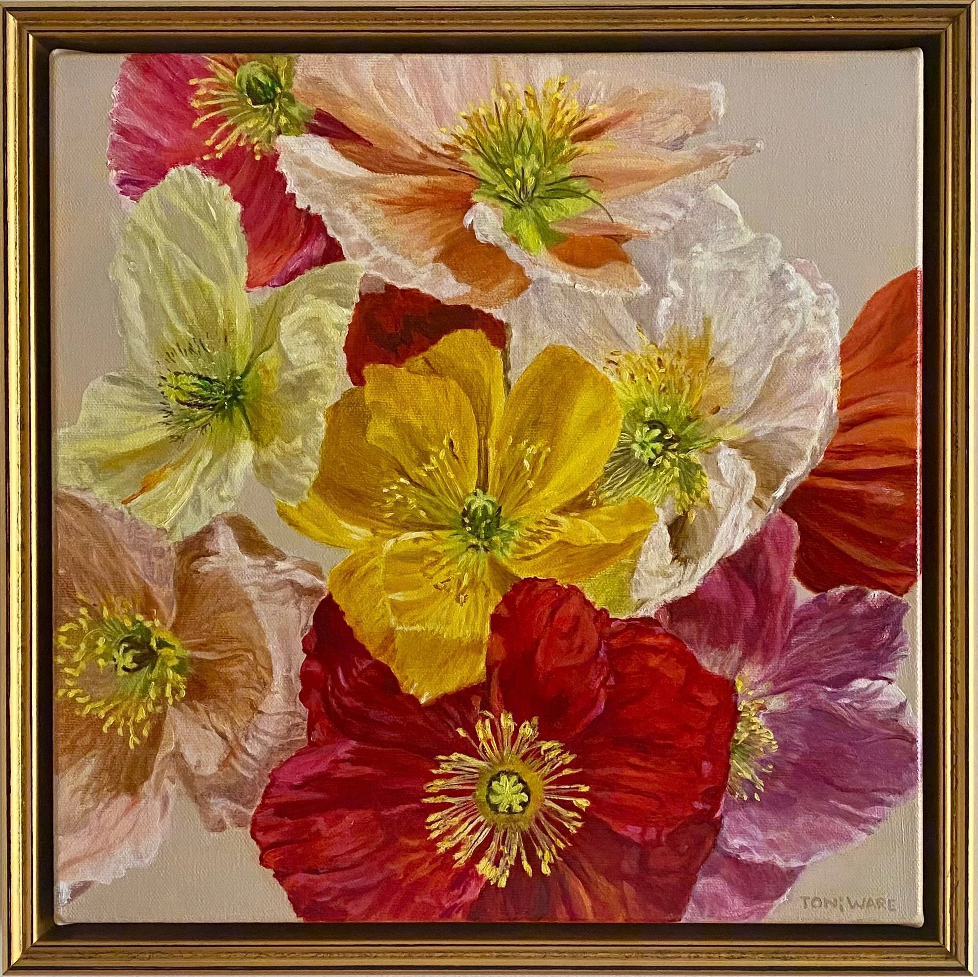 Poppy Collective - Toni Ware