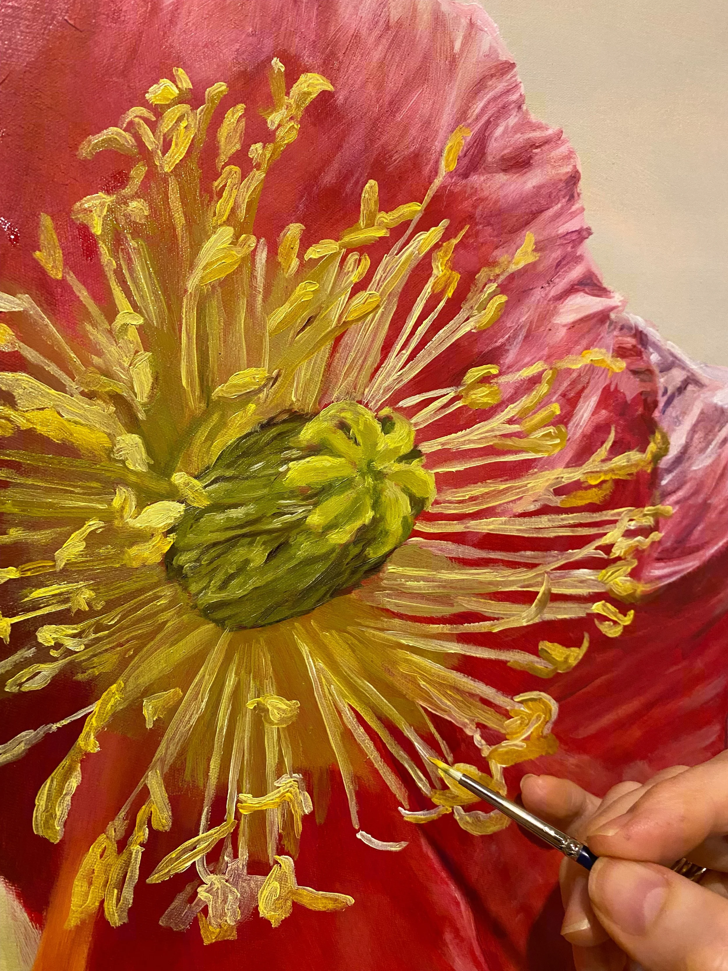 Optimism and Joy close up of painting red poppy.jpeg