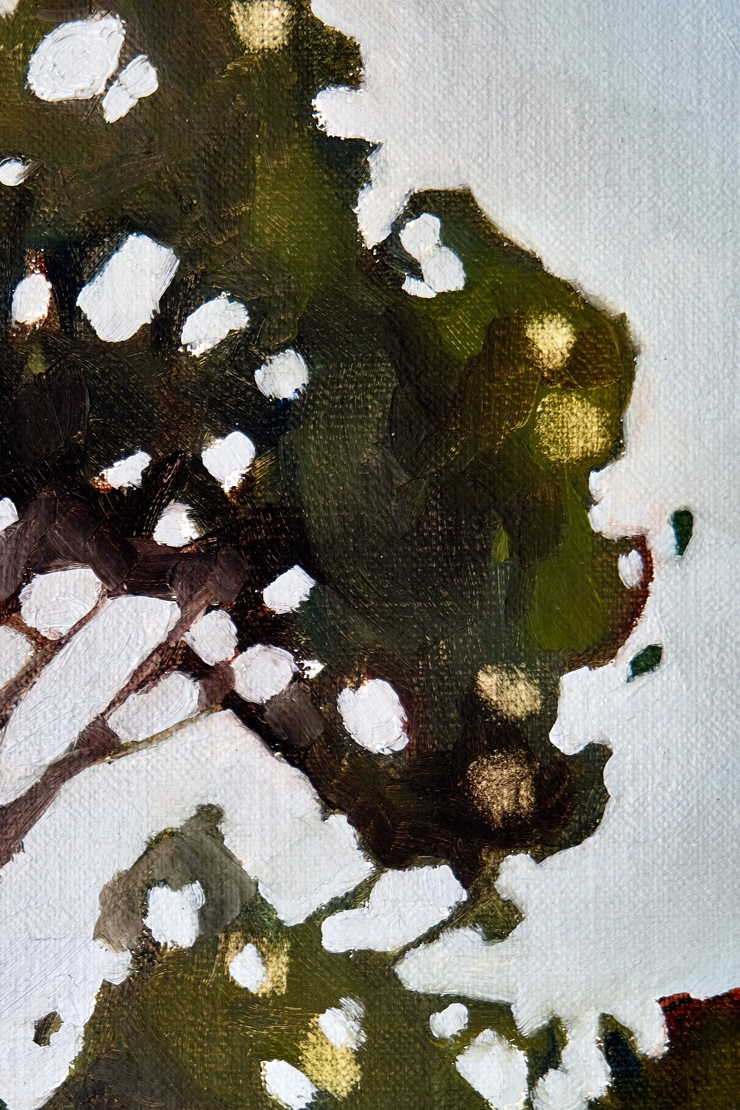 22_Melaleuca II_imageB.jpg