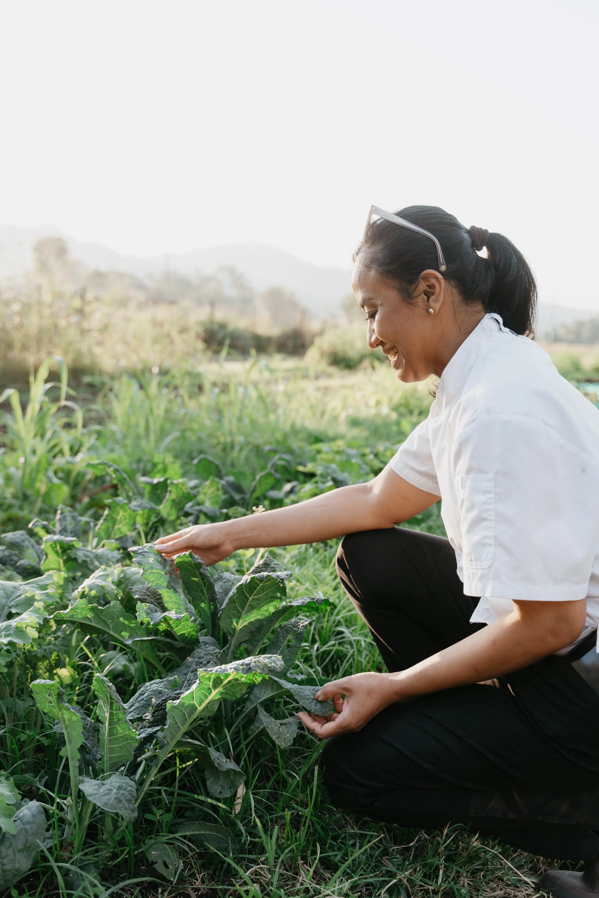 Person holding a large bowl of colorful kale and leafy vegetables in a garden.