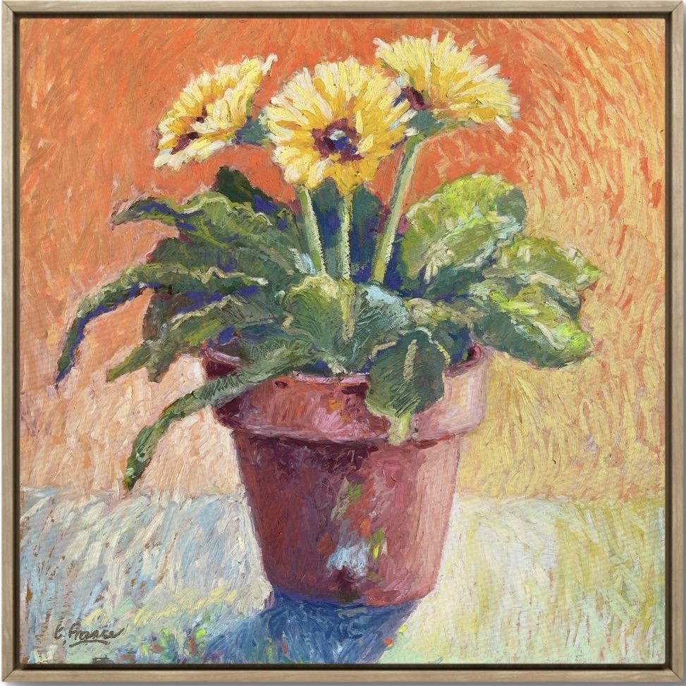 Gerbera Love - Elle France