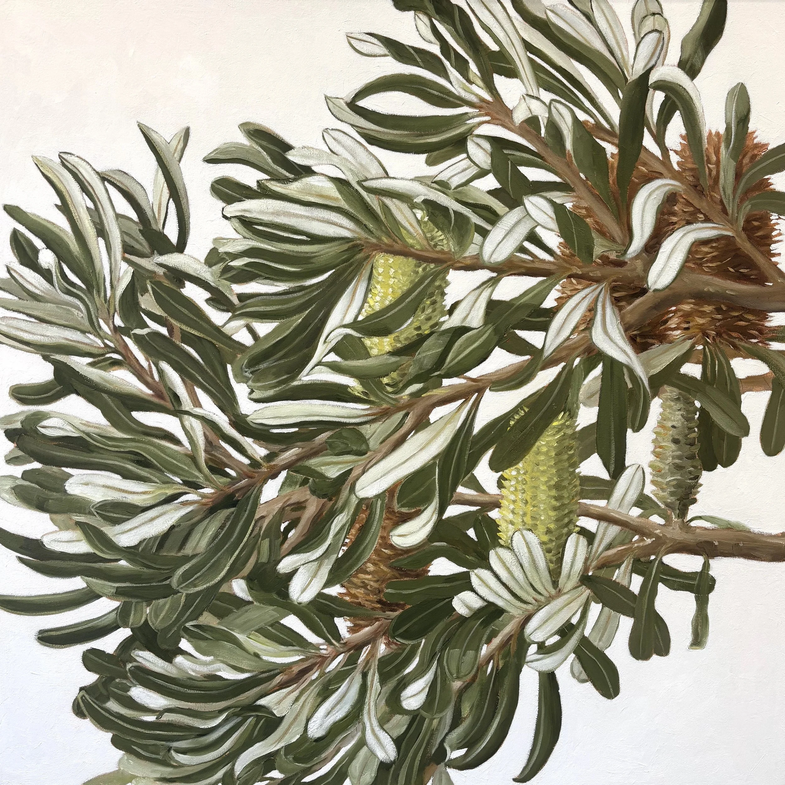 Coastal Foliage - Sue Rowsell