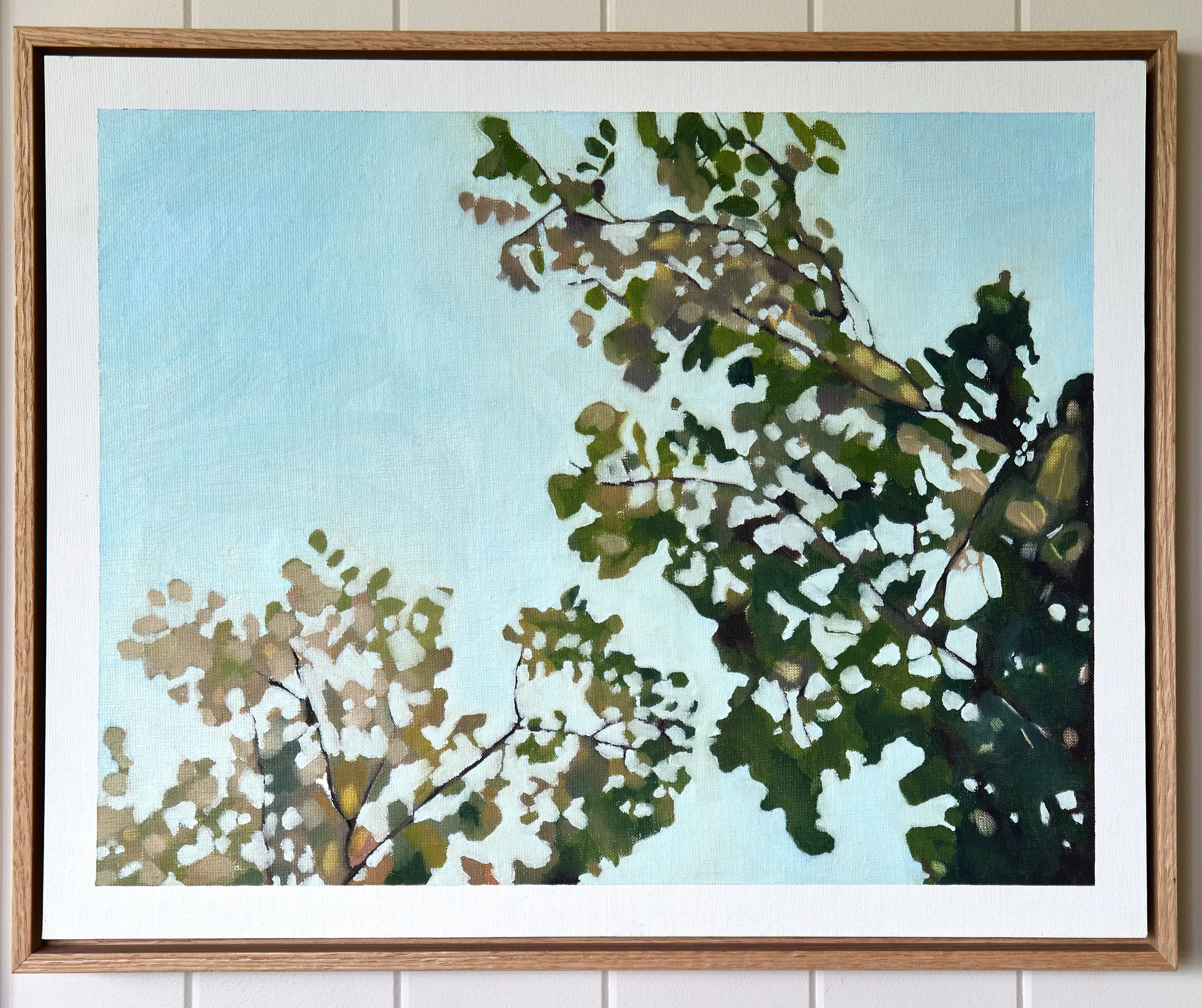 Cotton Tree II - Anna Ferguson