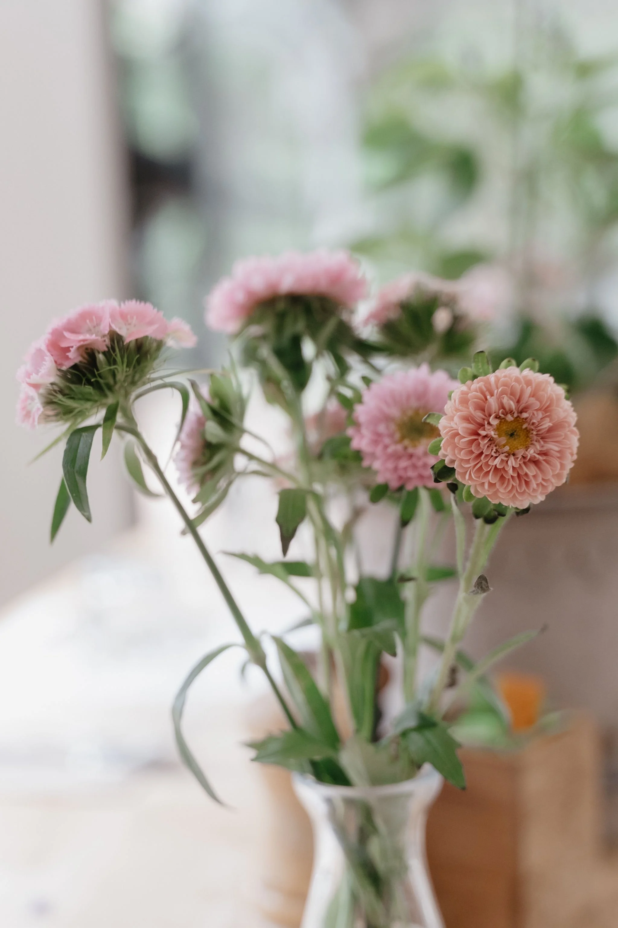 A dense cluster of white daisies with yellow centers.