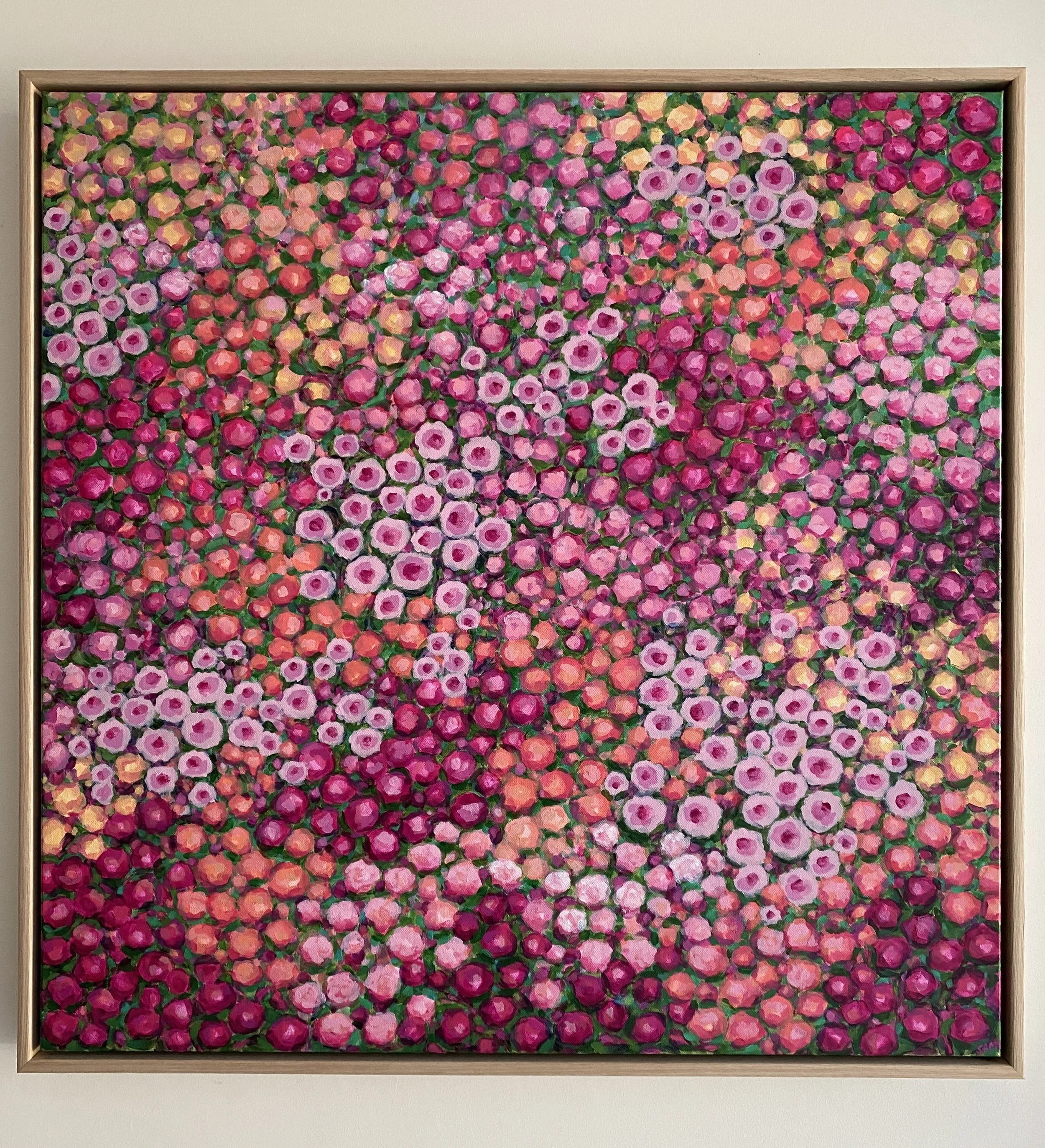 Confetti Fields - Sam Matthews
