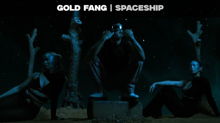 Gold Fang, Spaceship