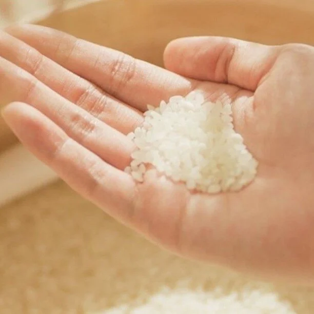 쌀알에서 나오는 마술 같은 변화

쌀알 6% 정도만 나오는 쌀겨는 
피부 진정 및 피부 톤을 밝게 만들어 준답니다.

KTW #쌀겨수토너패드 #완결패드

-
A magical change from grains of rice:
Rice bran comes out of only 6% of rice grains.
It calms your skin and brightens your skin tone.

KTW #RiceWaterMilkyTonerPad