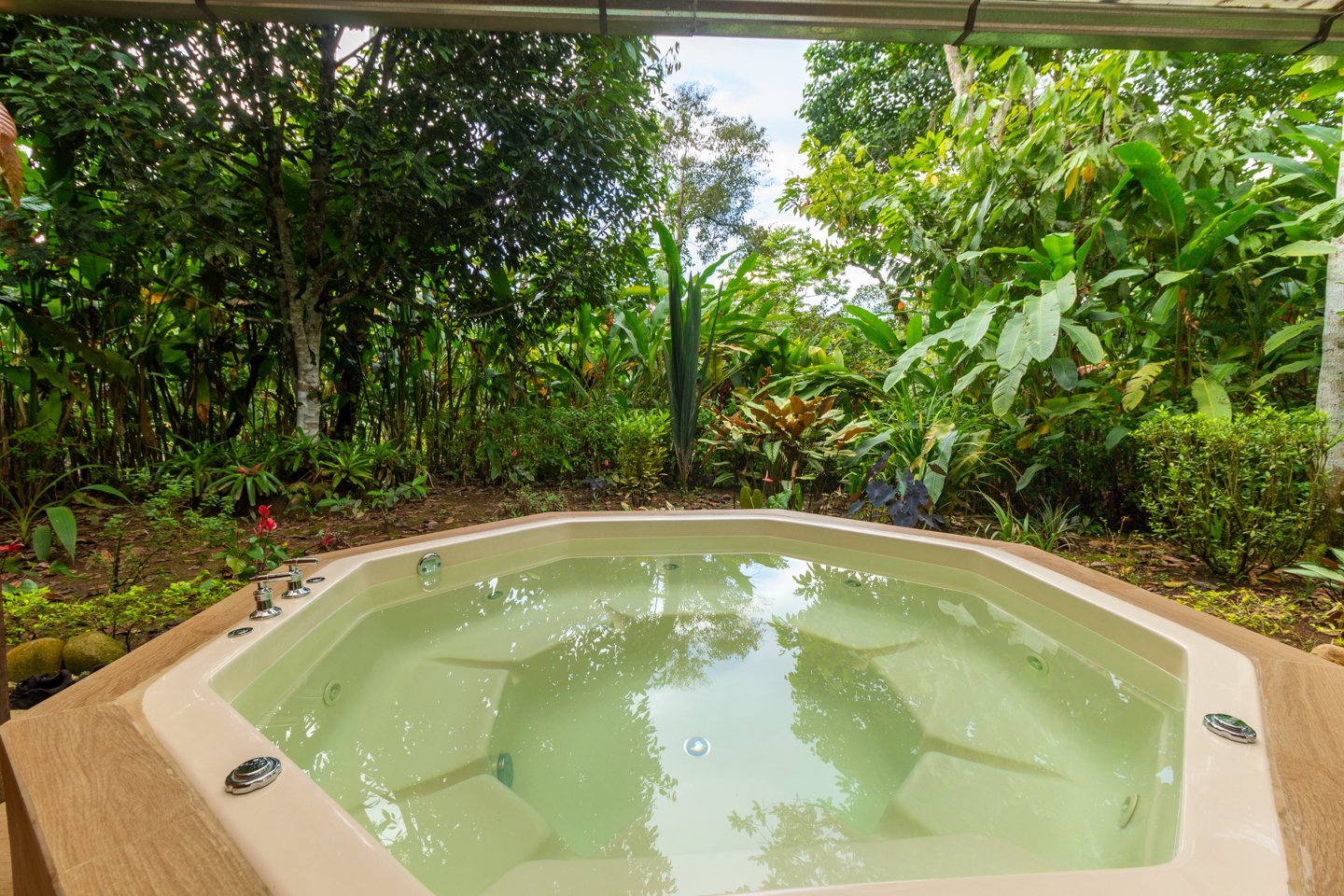 Jacuzzi rodeado de vegetación exuberante en un jardín tropical.
