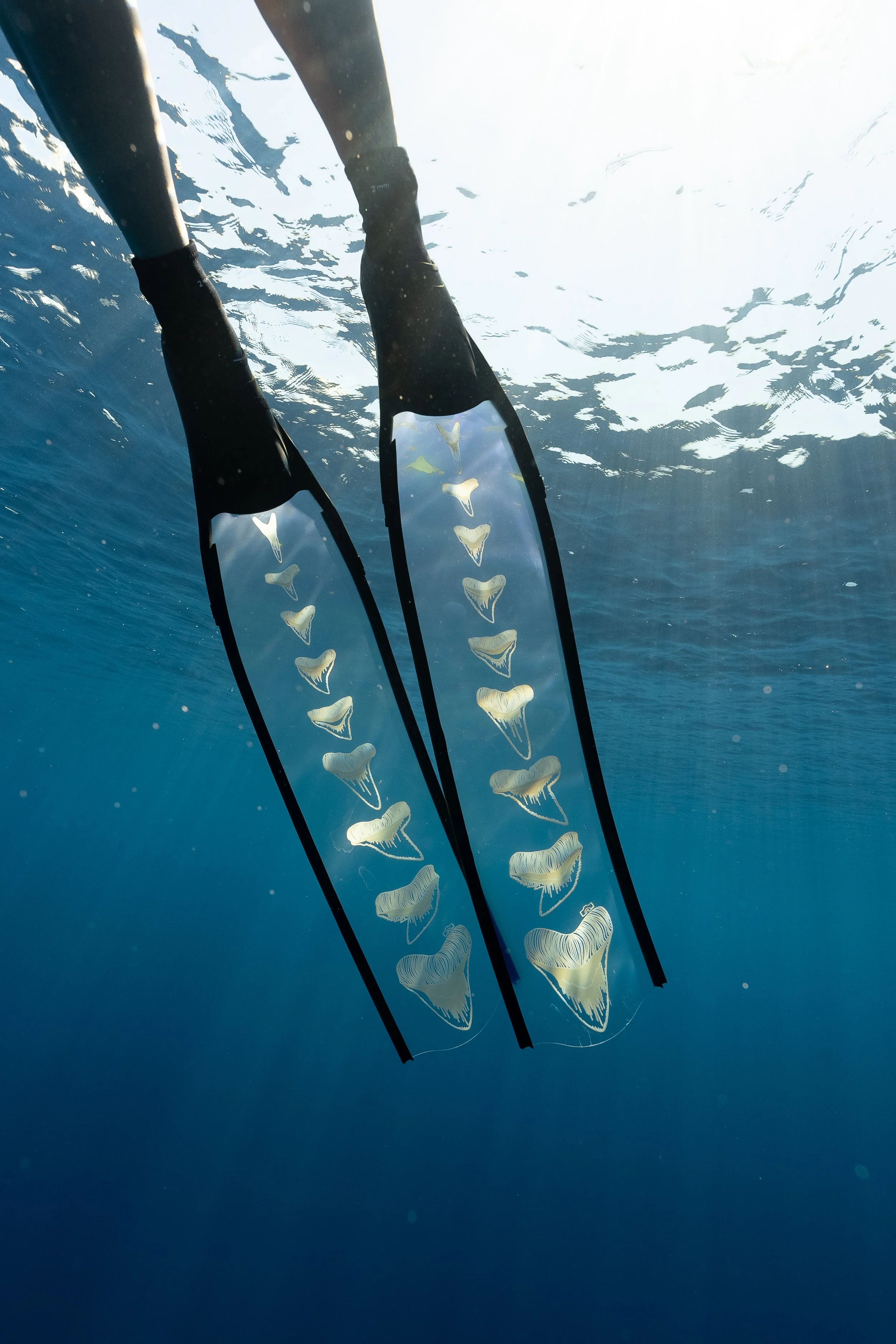BEST FREEDIVING FINS IN 2025 – FOR BEGINNER AND INTERMEDIATE FREEDIVERS