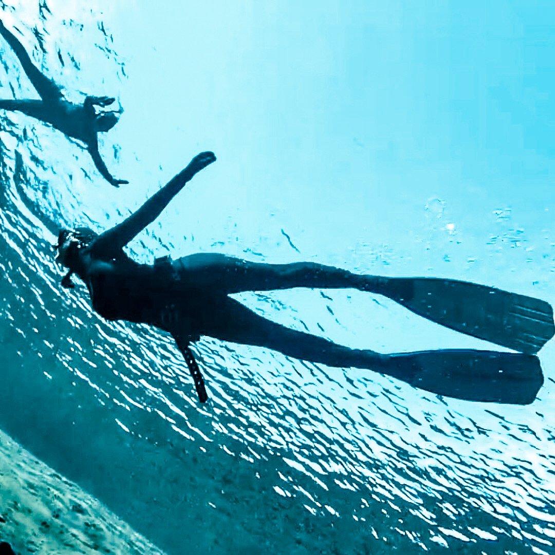 Cressi GARA MODULAR Free Diving Long Fins Professional