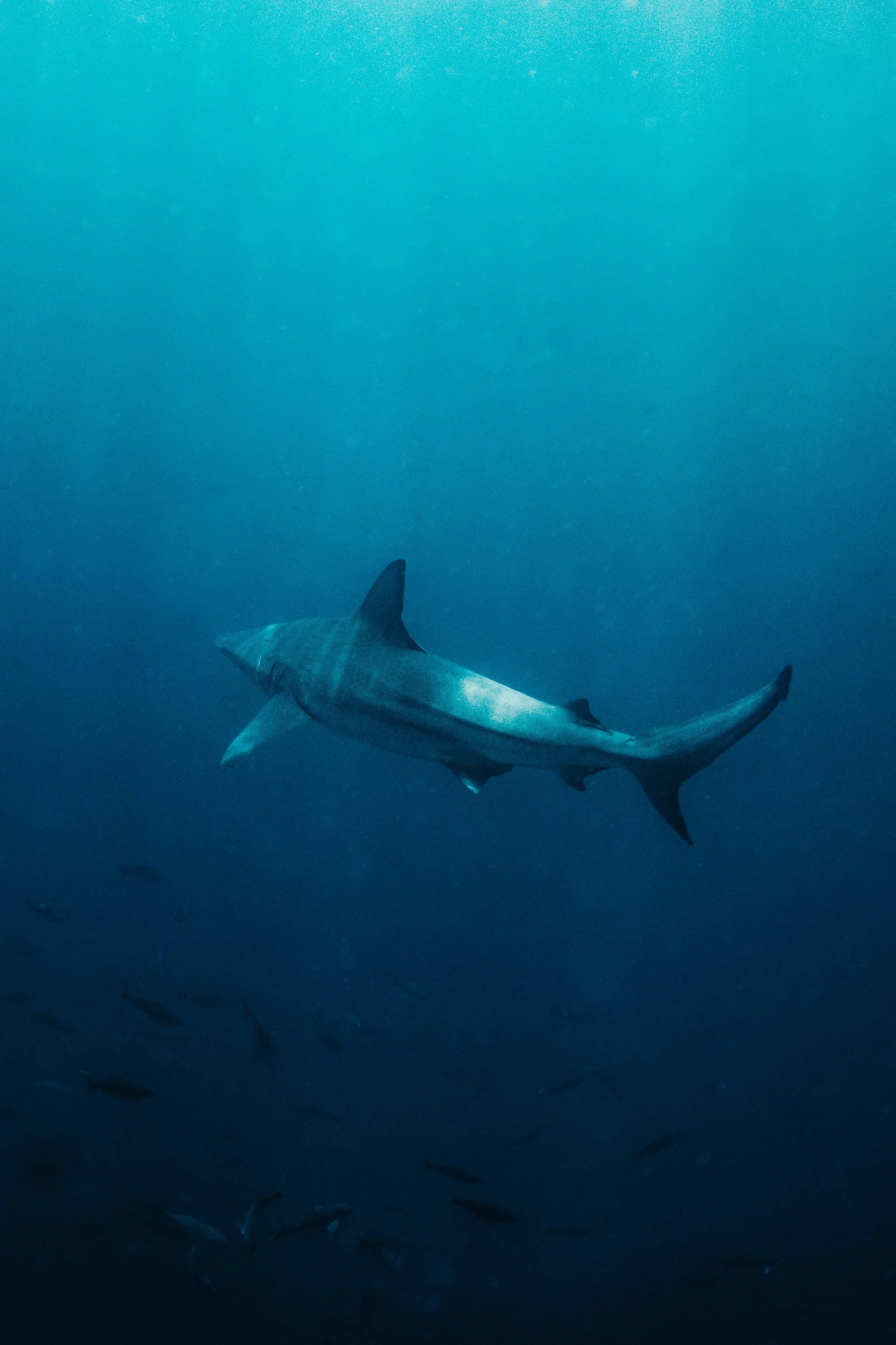 day4 -DSC_5107-Editar.jpeg