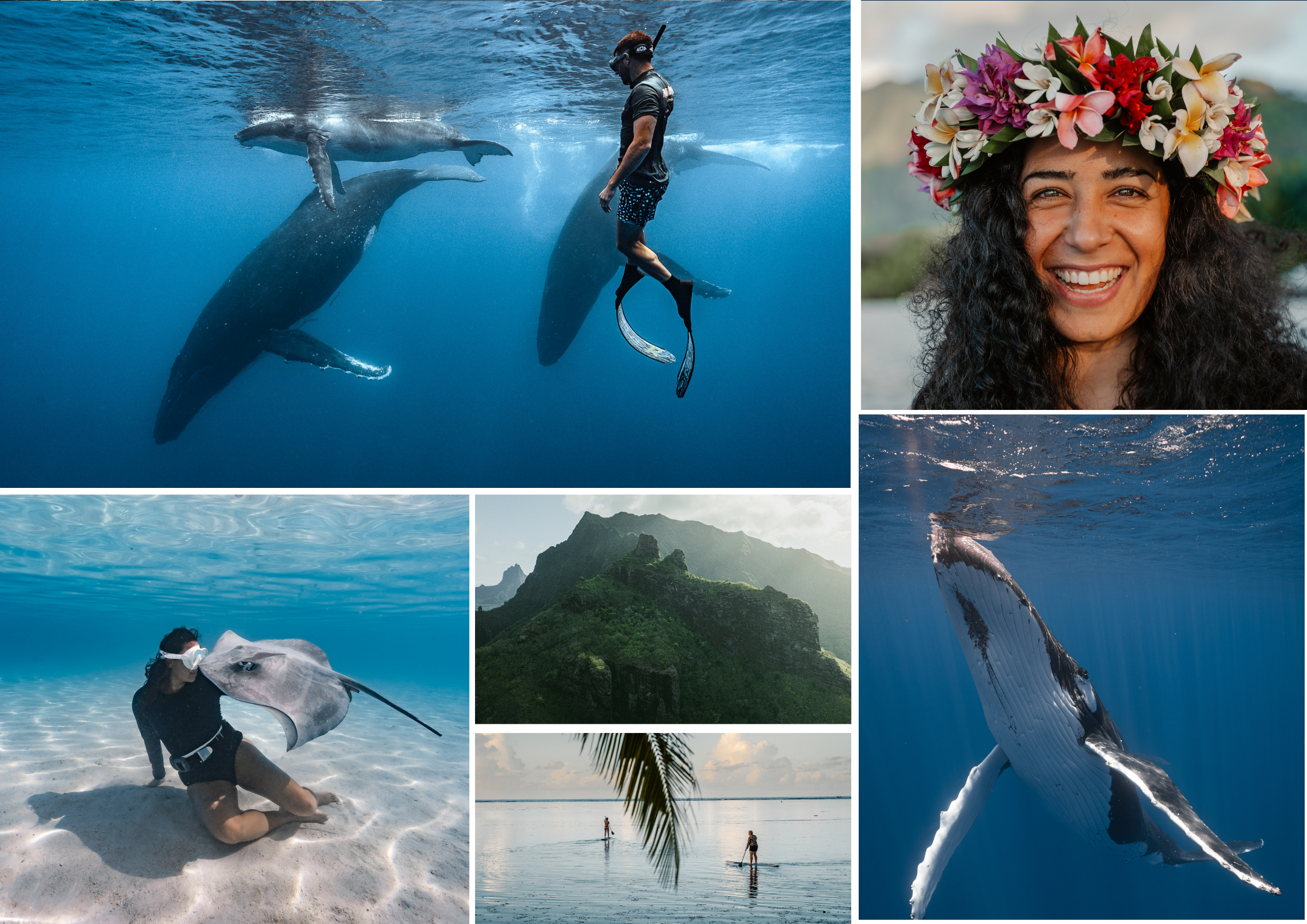 freediver with humback whale