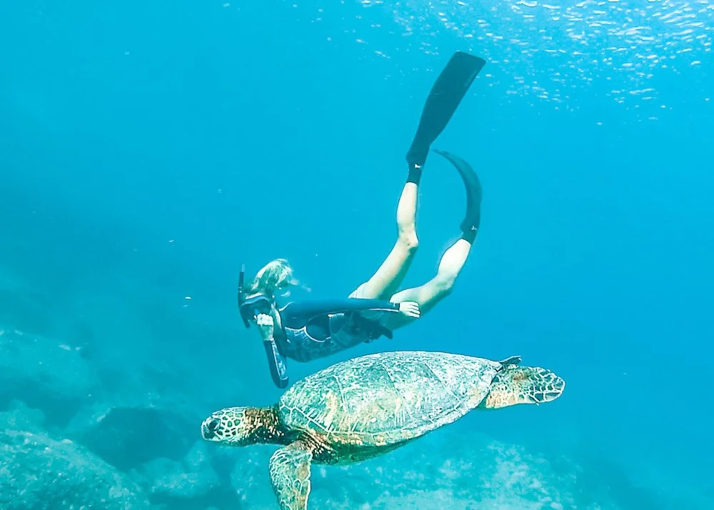 FREEDIVING EAR PAIN AND EQUALISATION — Immersia Freediving