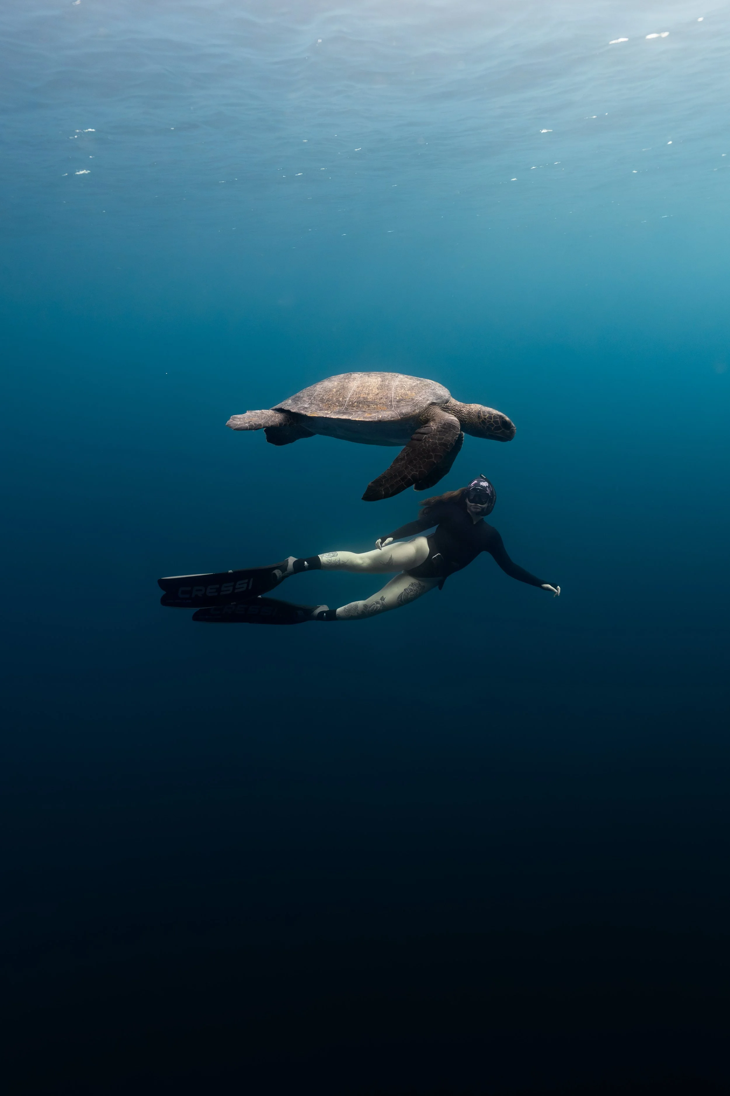Person freediving underwater with a sea turtle Galápagos freediving expedition San Cristóbal. 