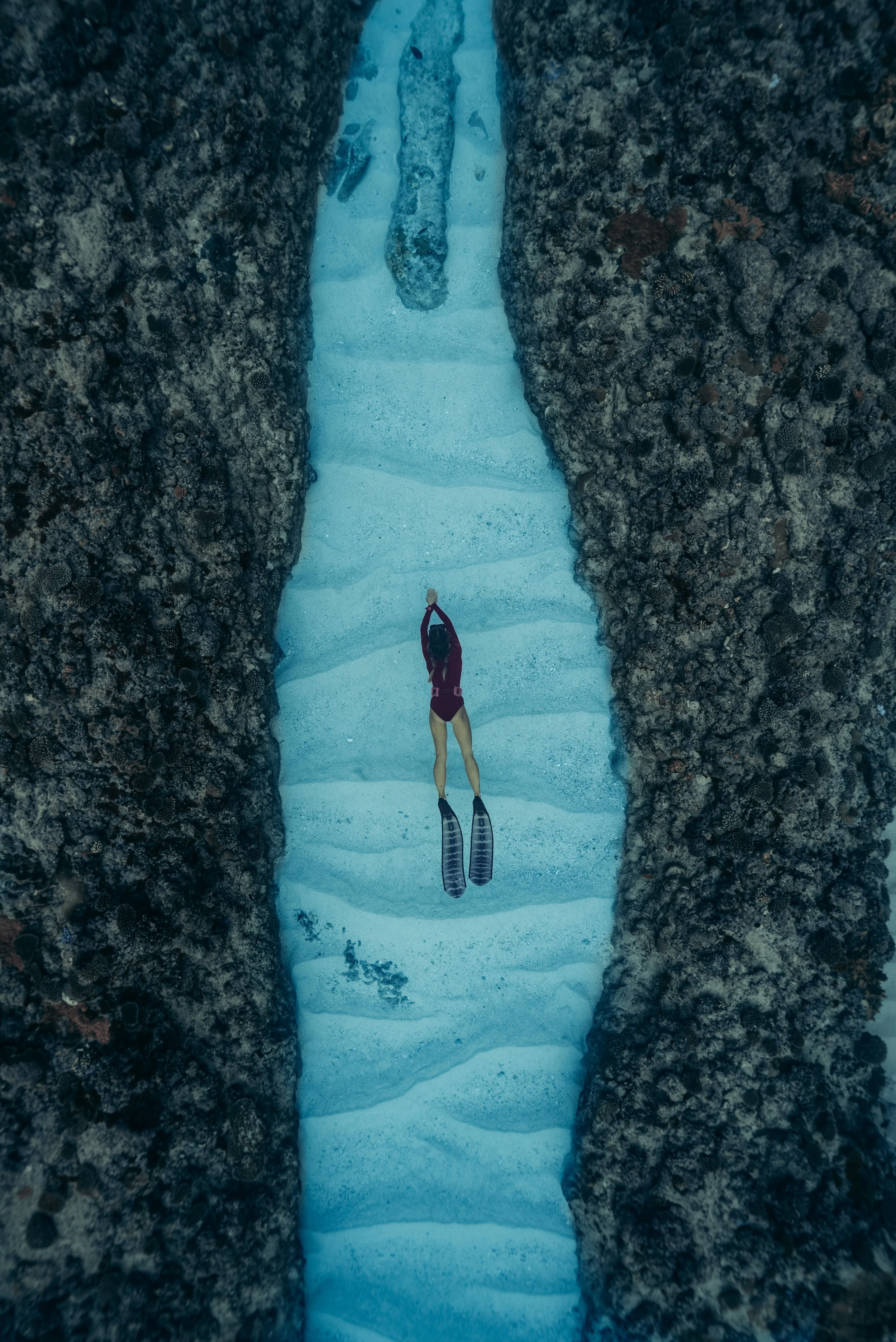 _A7S5264.jpeg