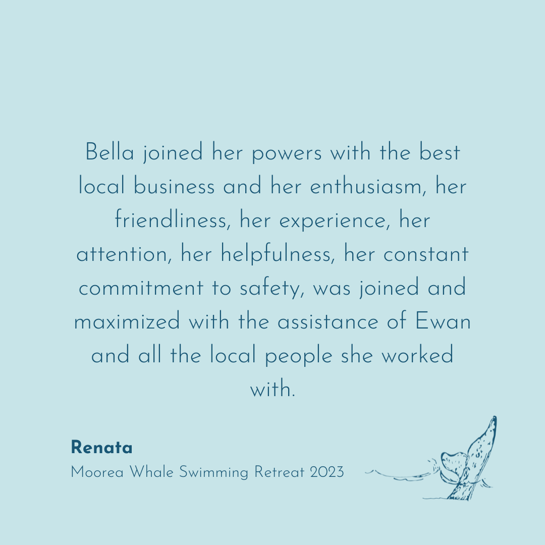 Testimonial for Immersia Freediving Retreat to swim with orcas in Norway