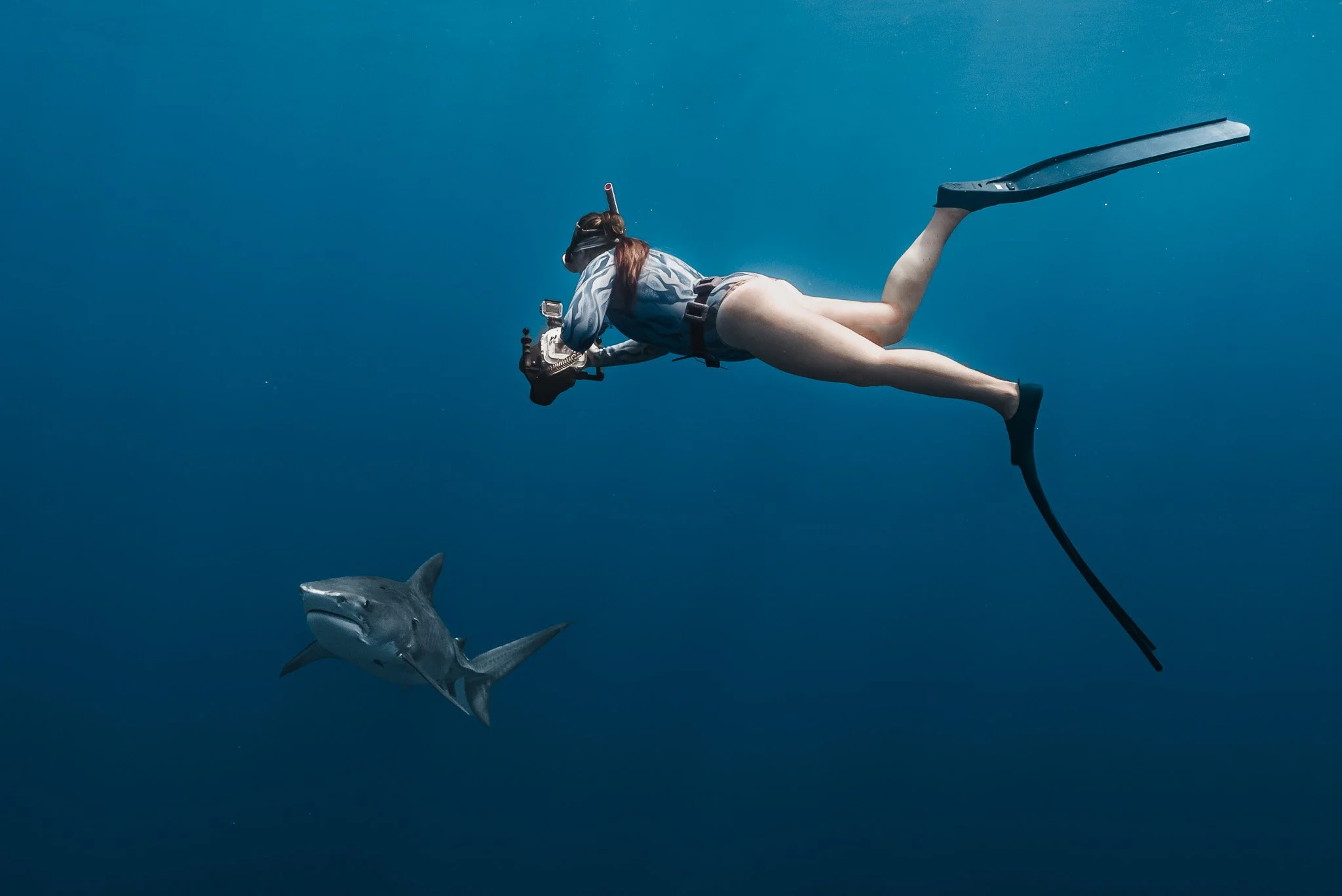 Girl freediving with tiger shark holding a camera