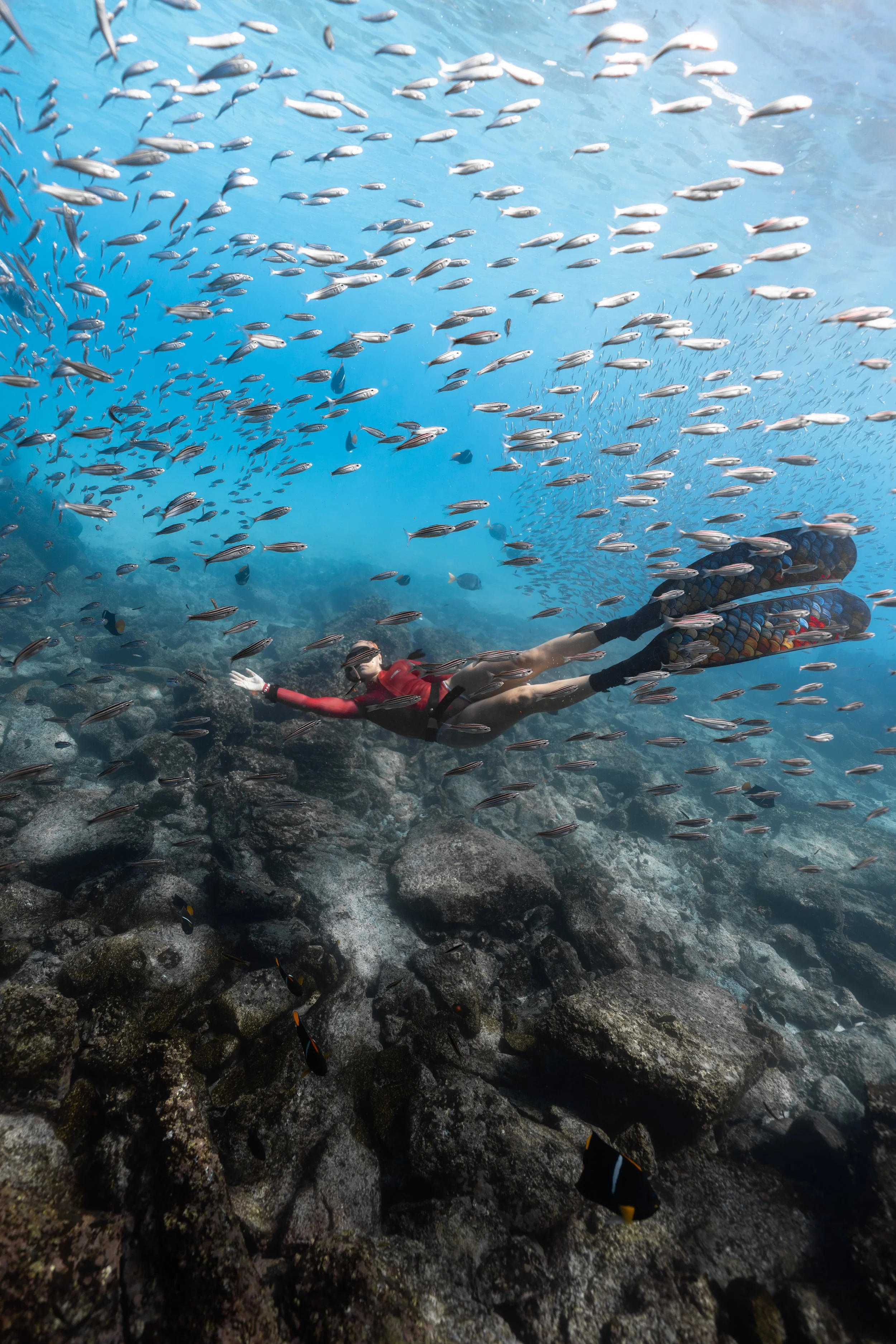 Freediver in blue waters Galápagos freediving expedition San Cristóbal