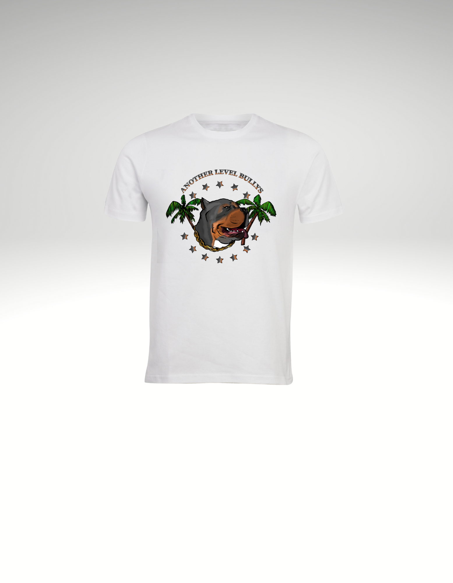 ALB White T-Shirt 1.png