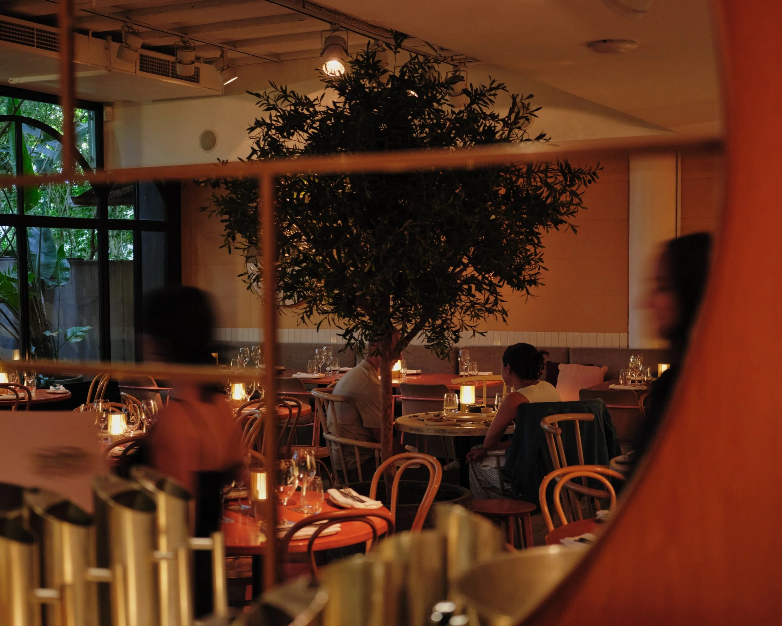 Nour_October_108 edit.jpg