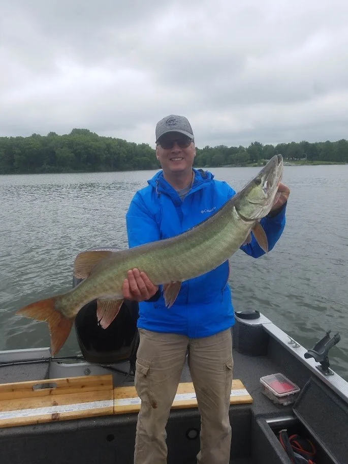 All muskies pictured caught right here in Central Illinois