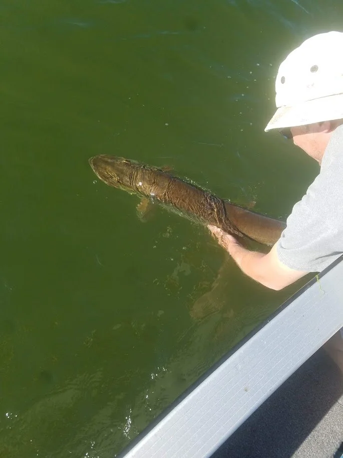 20180613_173316.jpg