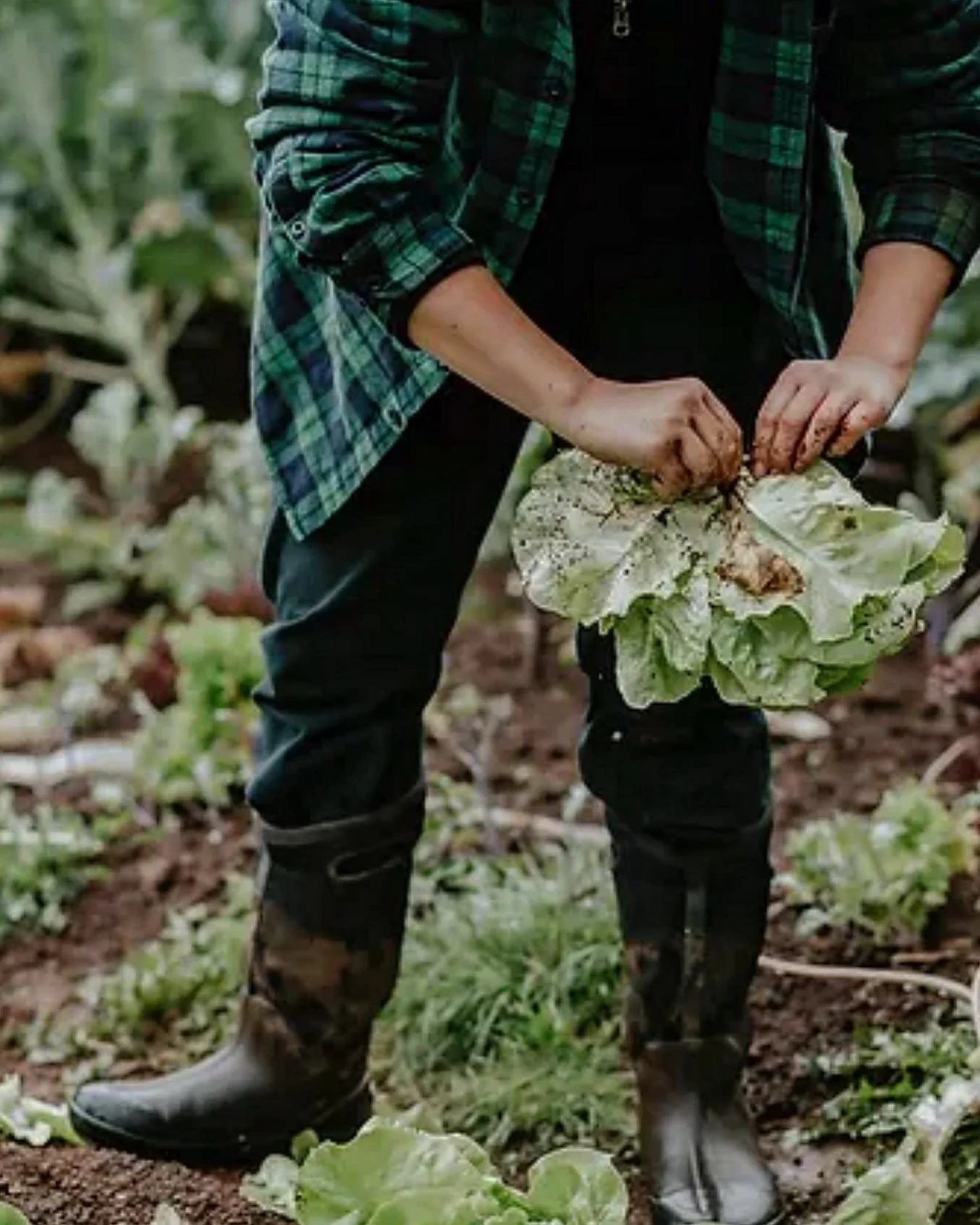 Taking a little break from Morocco content to wish everyone a very Happy Earth Day! 
๐ฑ๐♥๏ธ๐♥๏ธ๐๐ฑ
But we all know at this point in the game that #everydayisearthday. 
๐ฑ
Im so happy to be partnering again this year with @earthdayorego