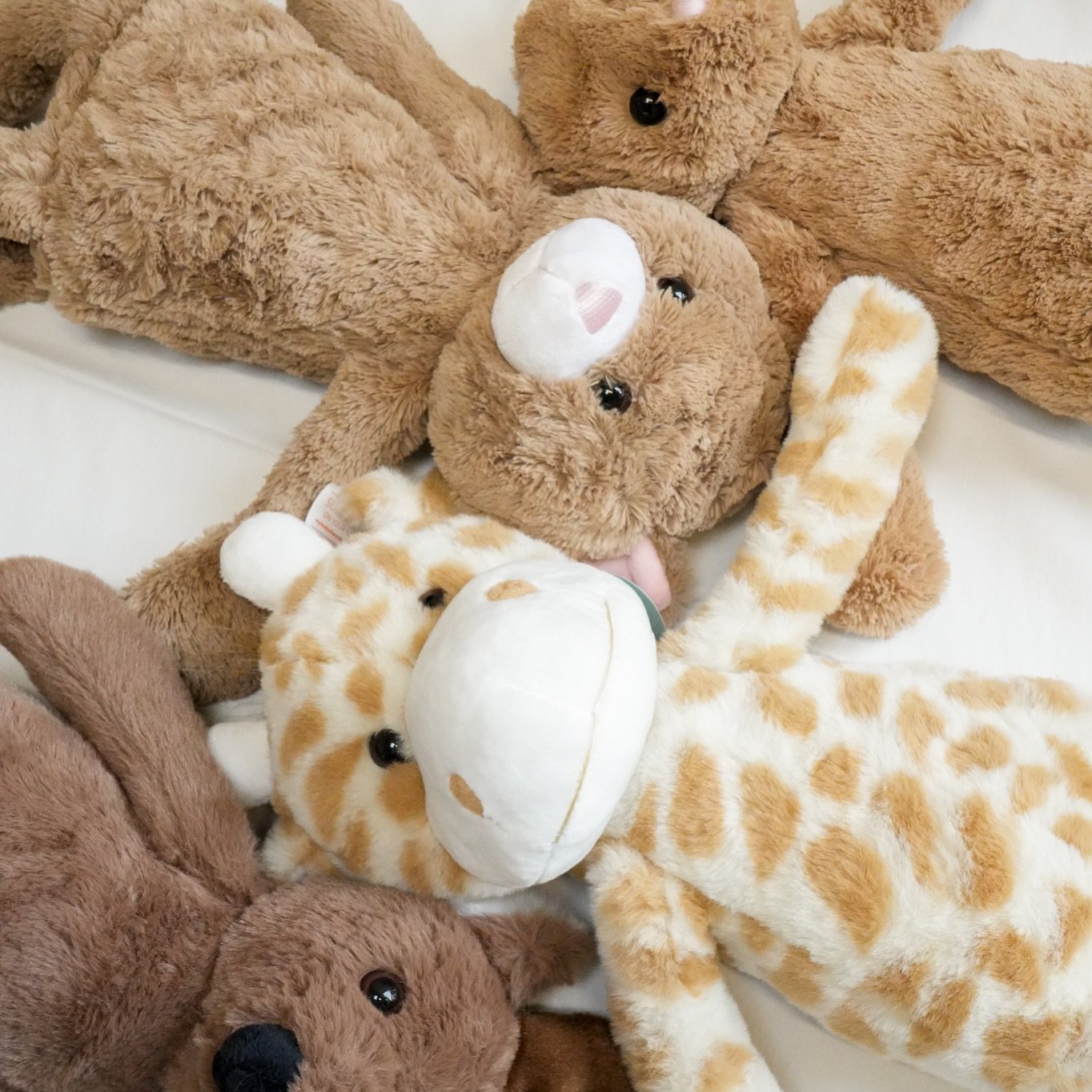 A Treasure Forever

Take home more than just images with Seattle 3D Ultrasound. Each family receives a special stuffed animal with your baby&rsquo;s heartbeat recording - a treasure to keep forever. Experience the joy of seeing your baby and hearing 