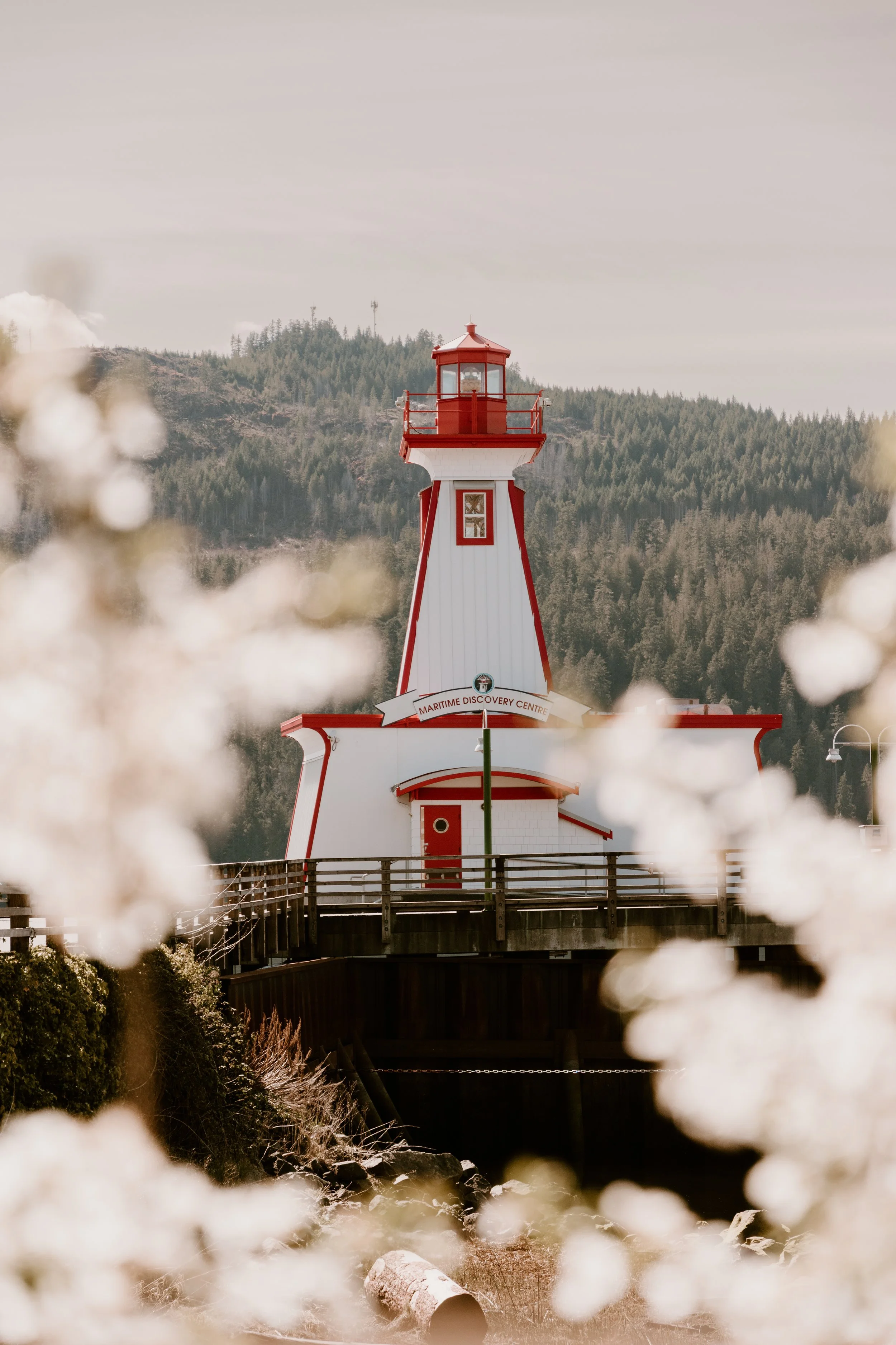 a quiet discovery.jpg