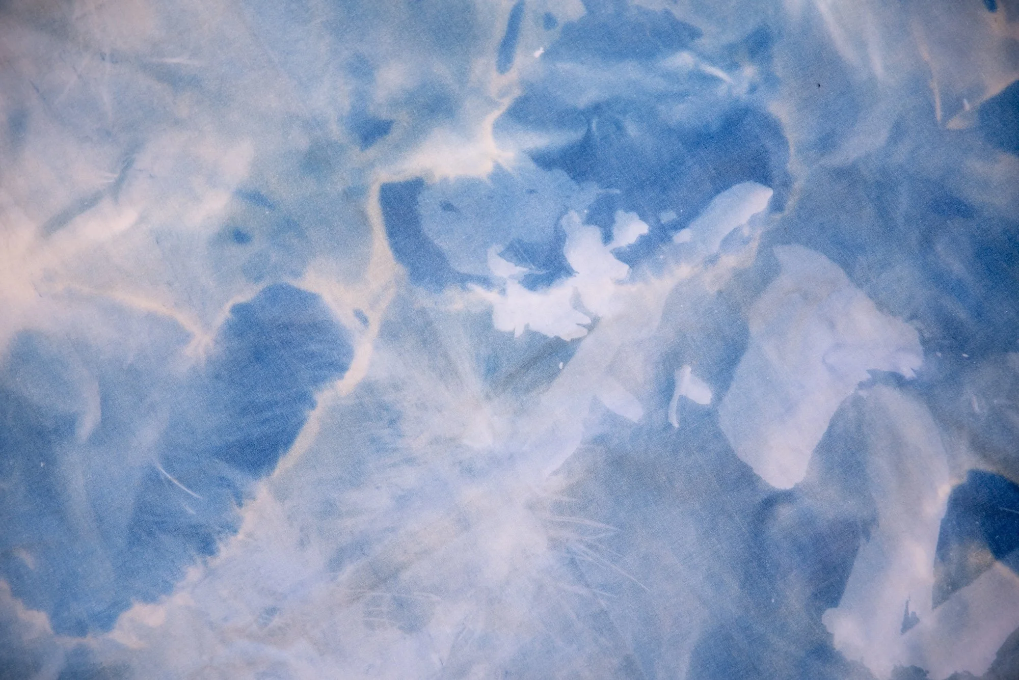 Sceneteppe til Ringerike fengsel, avdeling Ullersmo, i samarbeid med en gruppe innsatte. Teknikk og materiale: Cyanotype på tekstilbiter i bomull, lin, silke og ull, broderi i ull, silke og bomull, applikert på kraftig bomullstekstil. Håndsøm. Fôret 