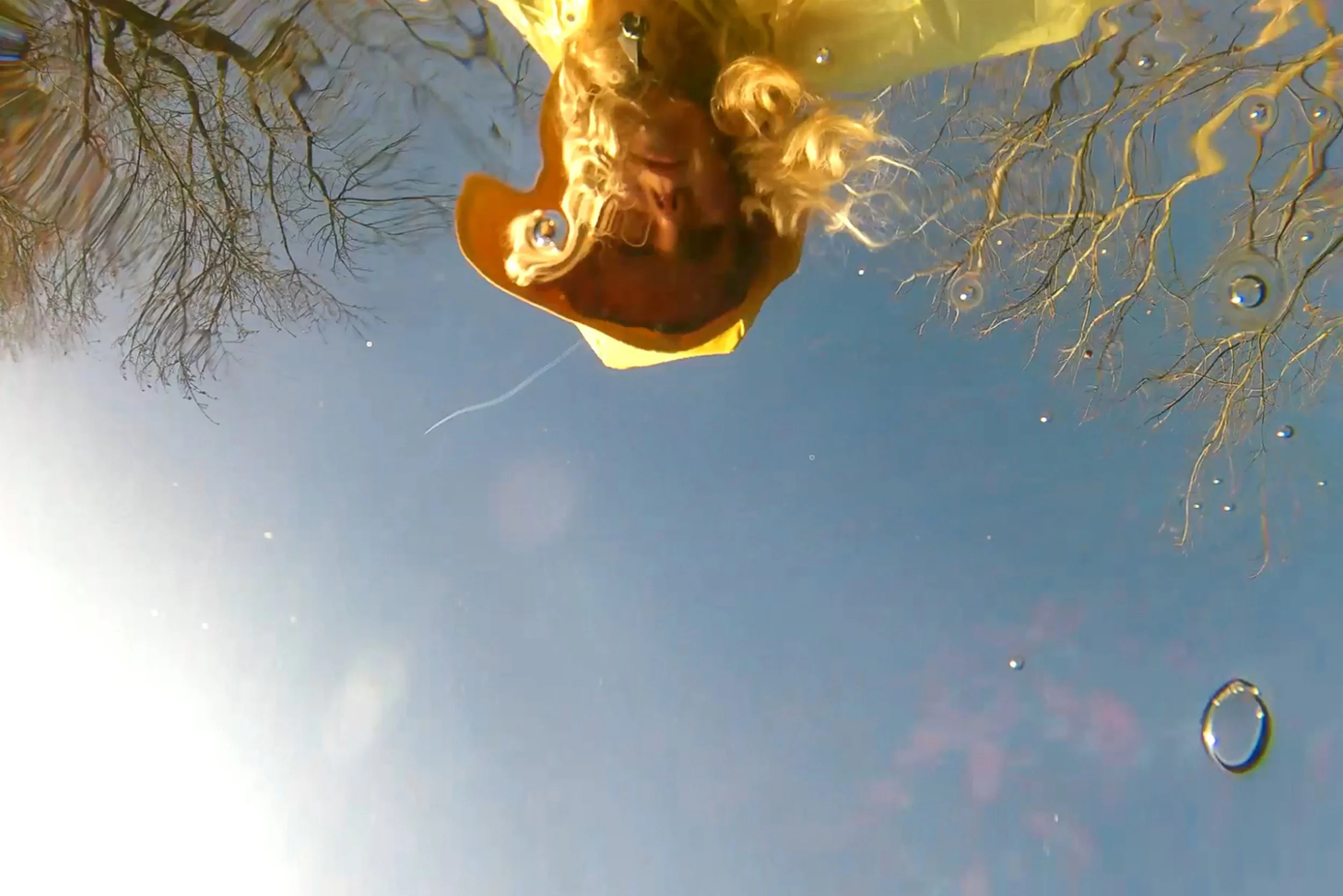 Murmur Tooth reflections.jpg