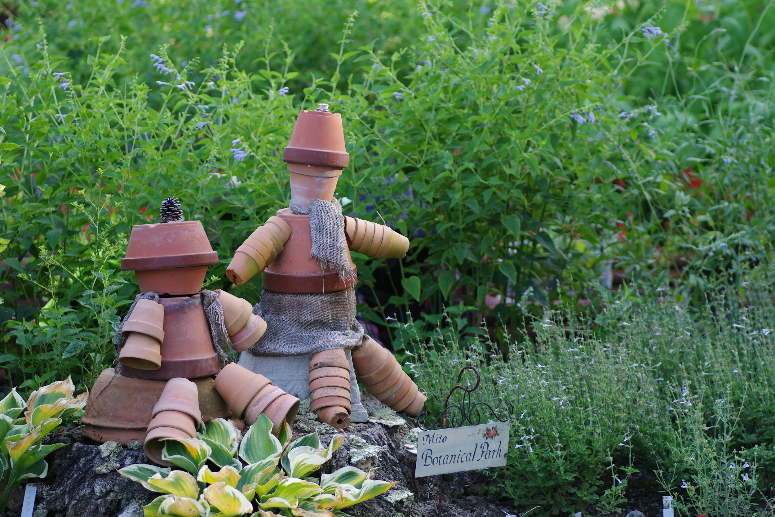 plant pot characters sat in garden