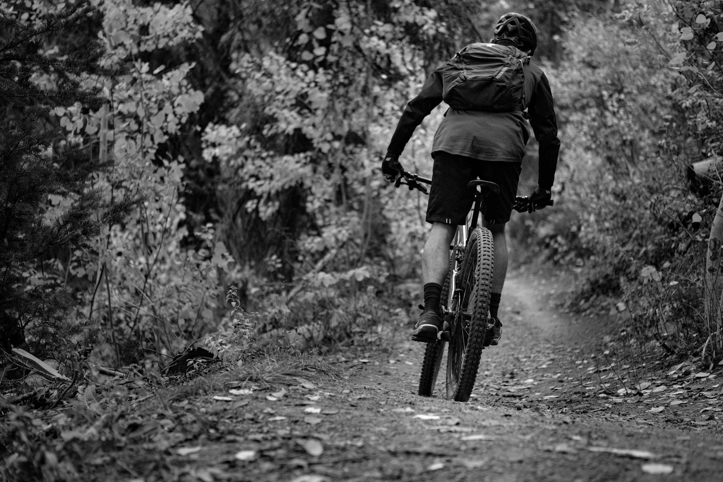 cyclist in woods
