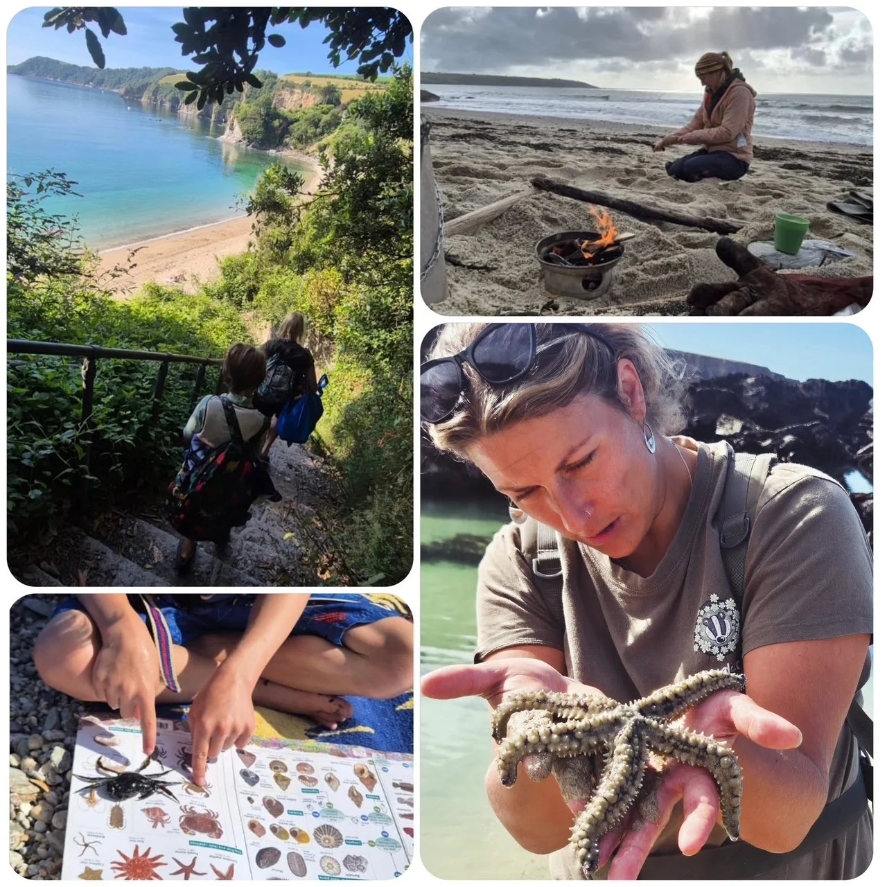 badger beach school collage