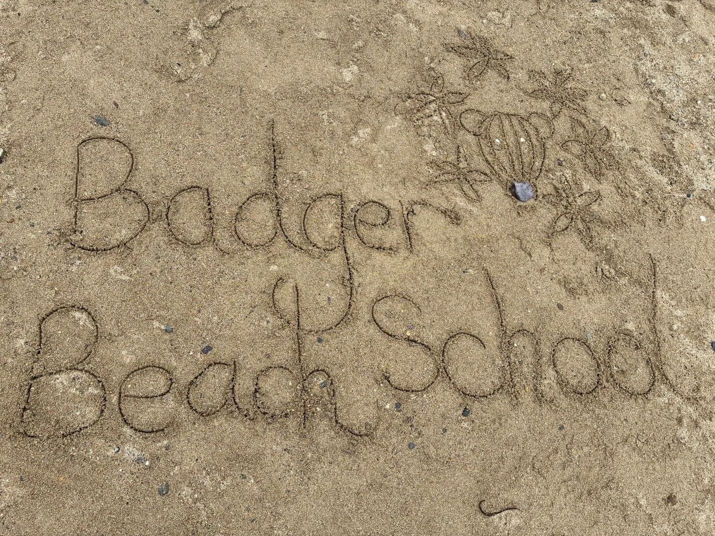 badger beach school