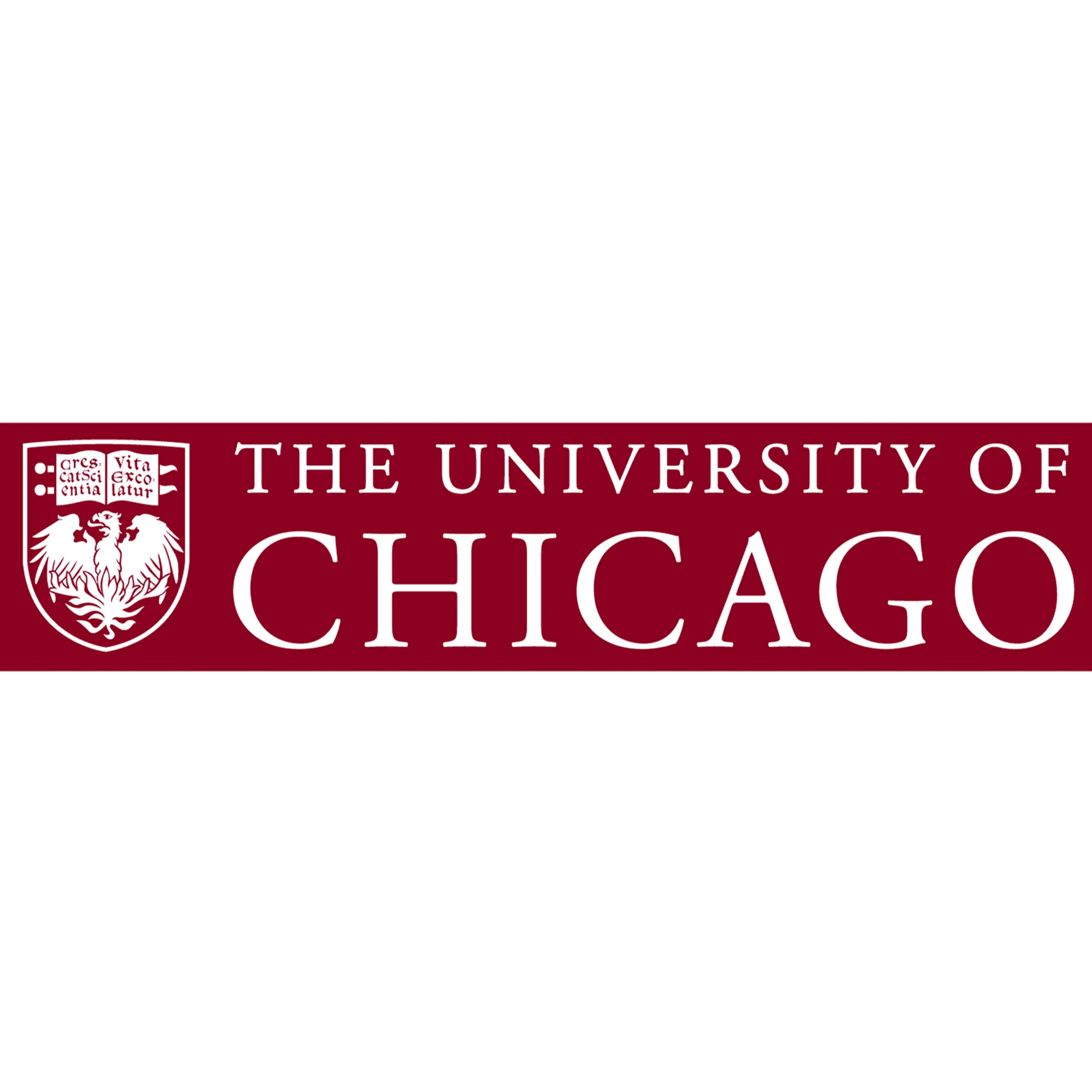15 College Programs for High School Students in Chicago