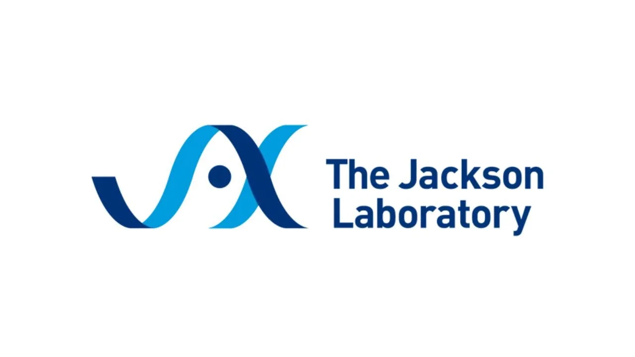 13 Internships for High School Students in Maine