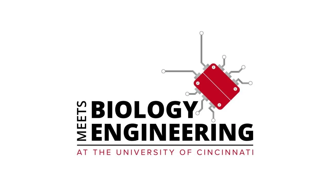 12 Camps for High School Students in Ohio