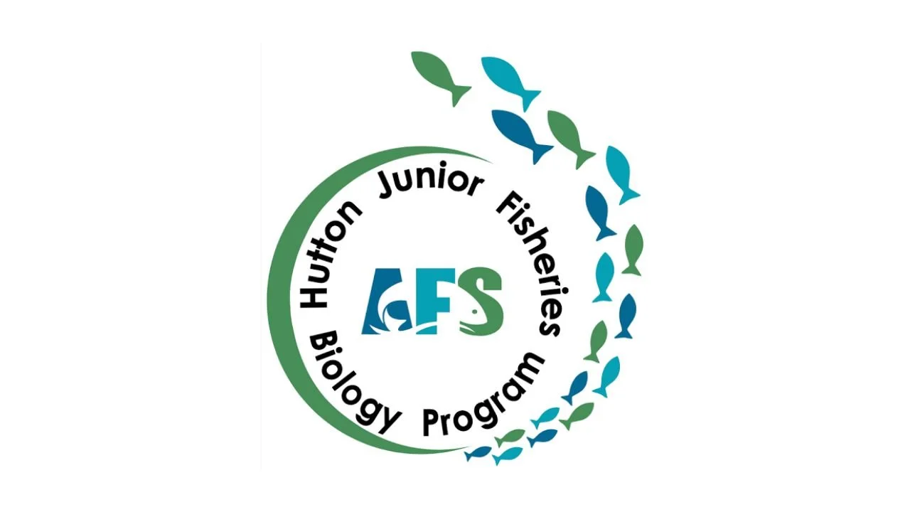 15 Science Programs for High School Students in California