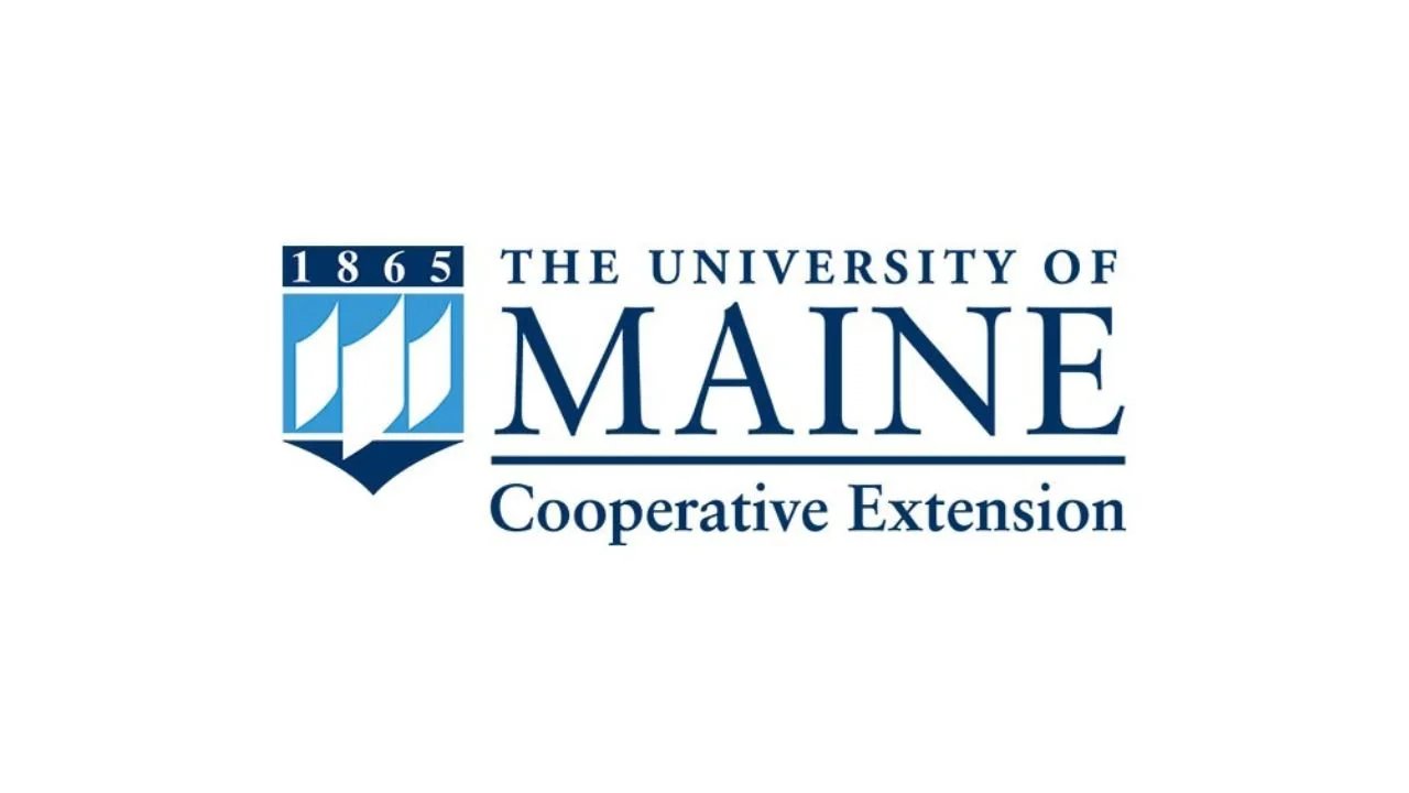 15 Computer Science Programs for High School Students in Maine