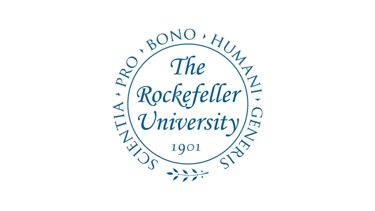 15 Medical Summer Research Opportunities for High School Students