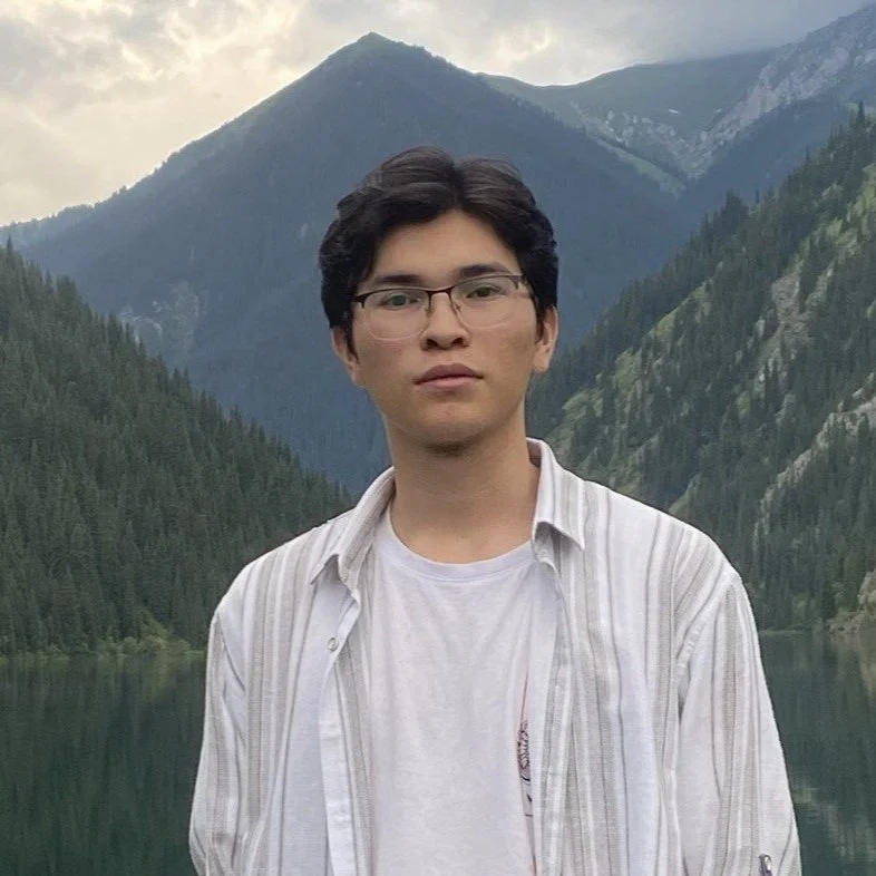 Mukhammedali N ,Veritas AI student
