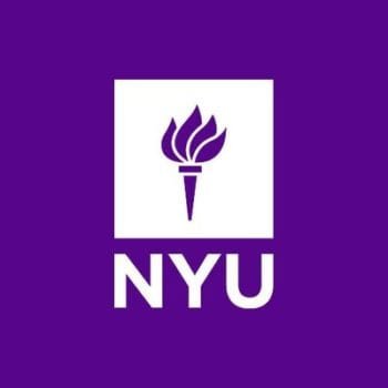 The Ultimate Guide to NYU's ARISE Program