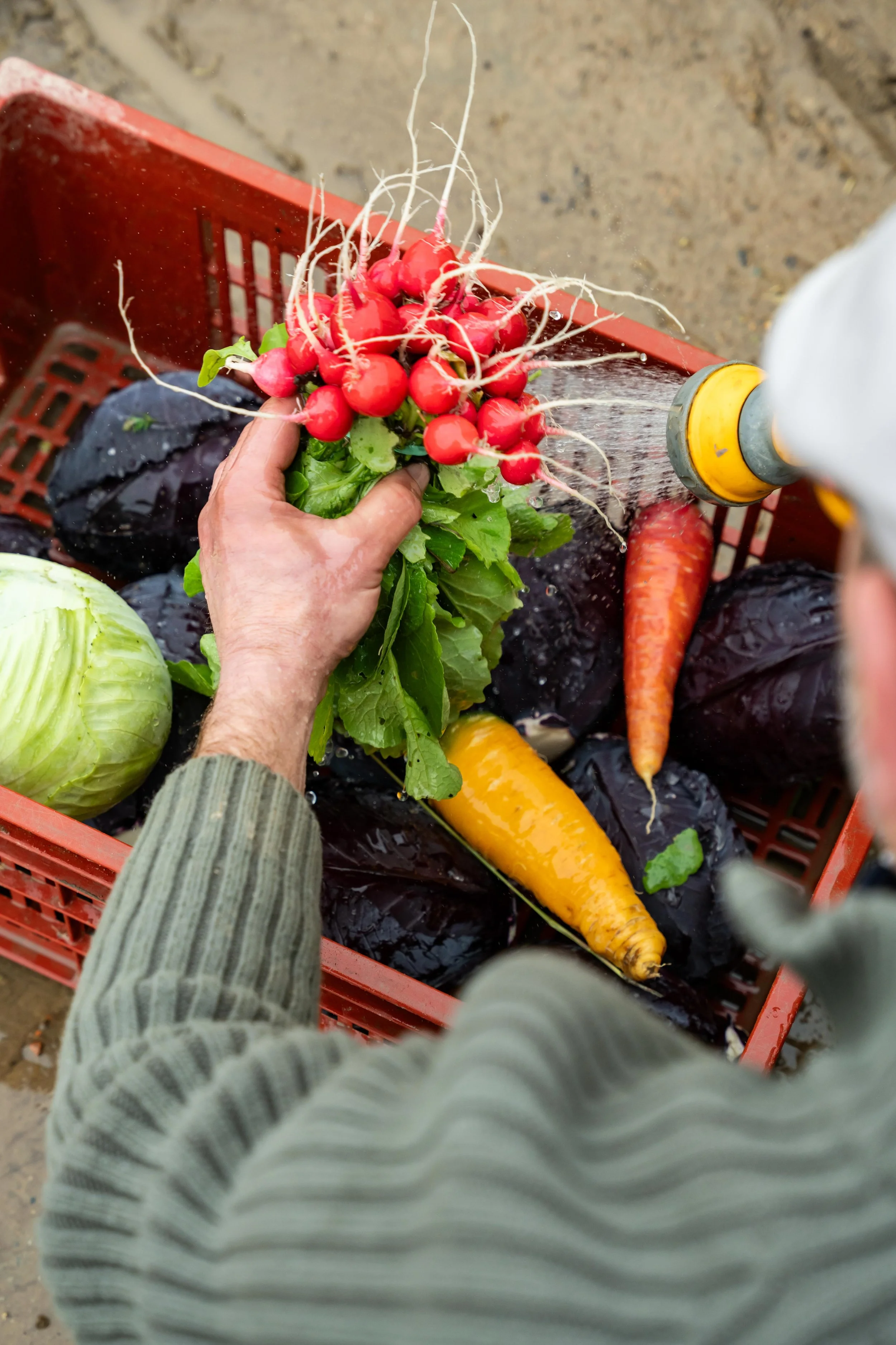 Matière BD 2026 s2©Charlyne Labarre-71.jpg